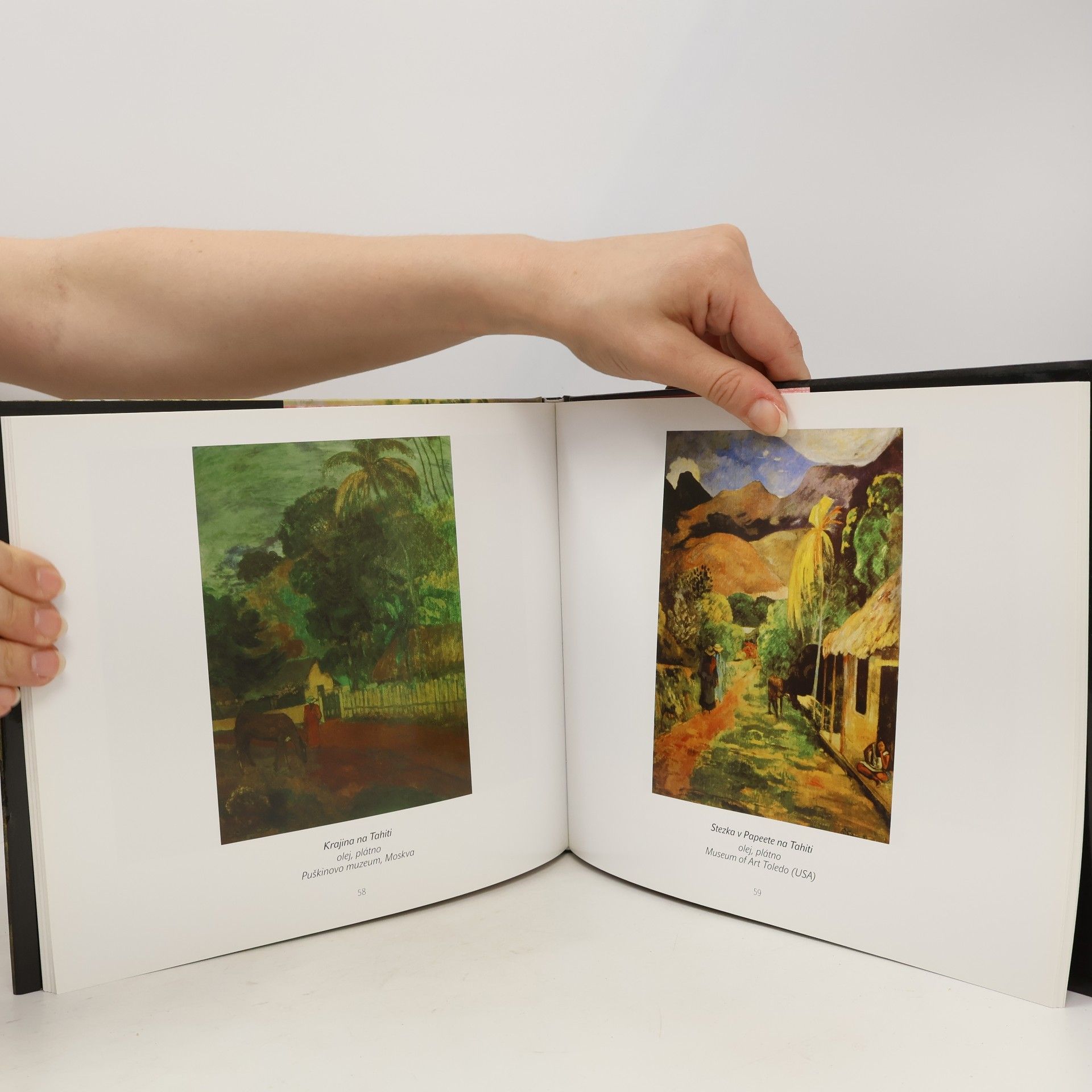 Vlastimil Tetiva Paul Gauguin : život a dílo