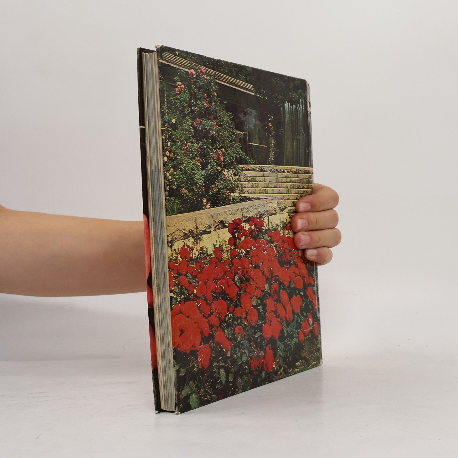 Autorenkollektiv Rosarium