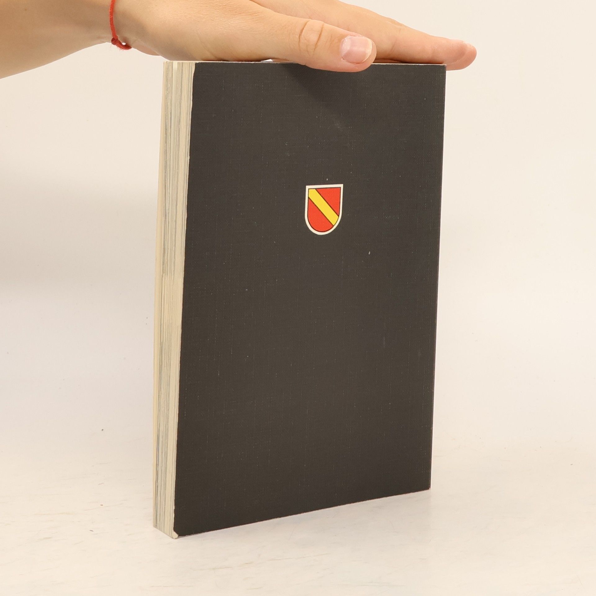 Klaus E. R. Lindemann Tagebuch der Fächerstadt 78