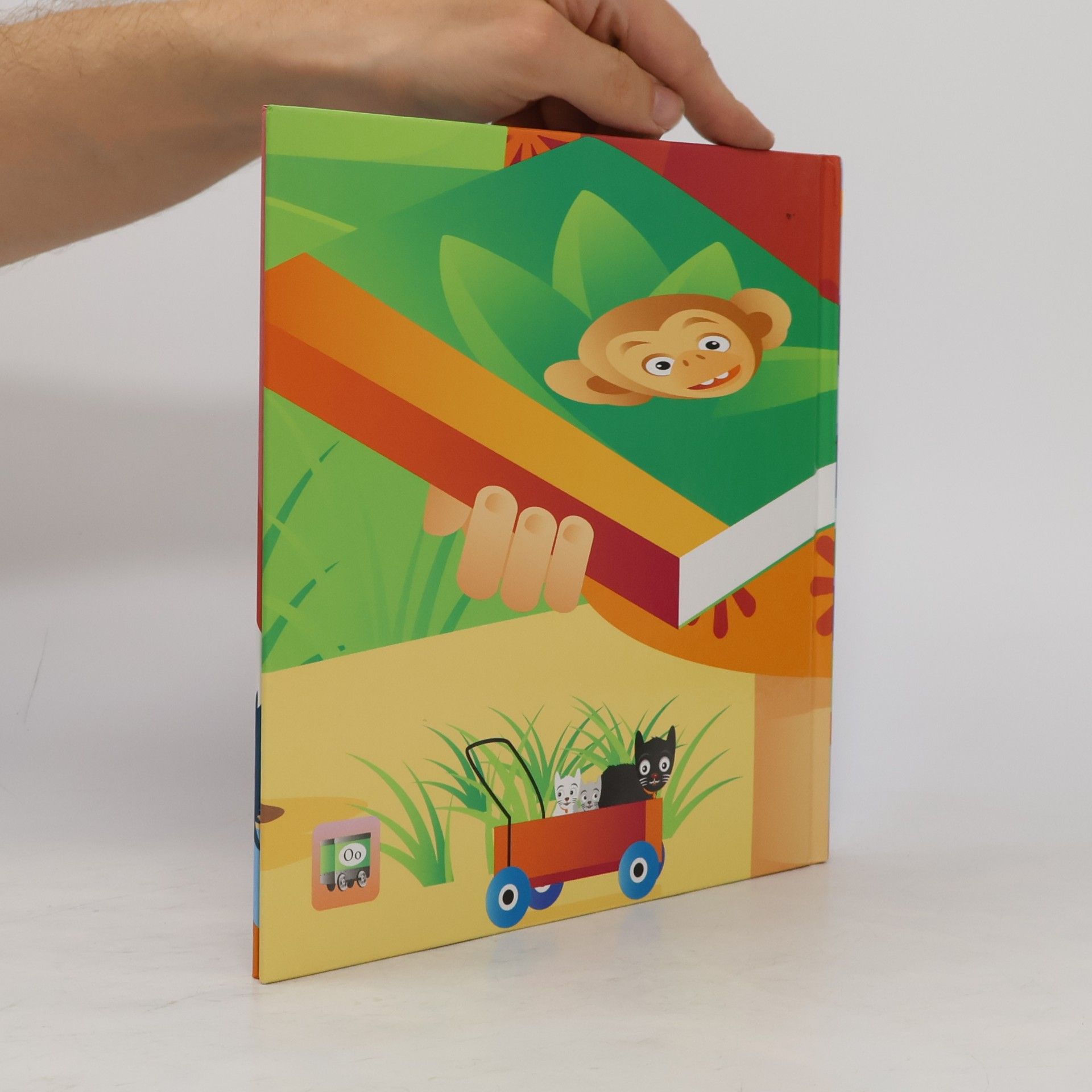 Pia Wall Buch O