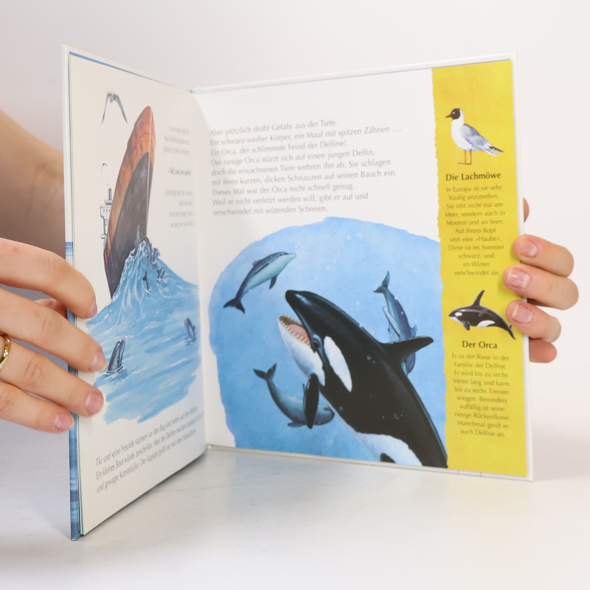 Markus Grimm Der kleine Delfin entdeckt das Meer