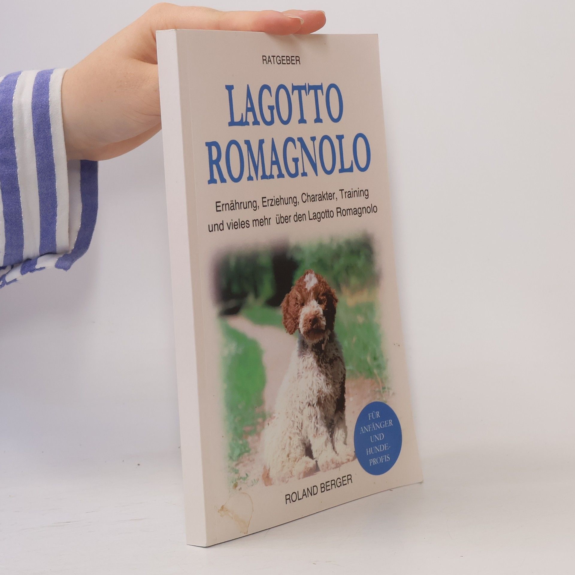 Roland Berger Lagotto Romagnolo
