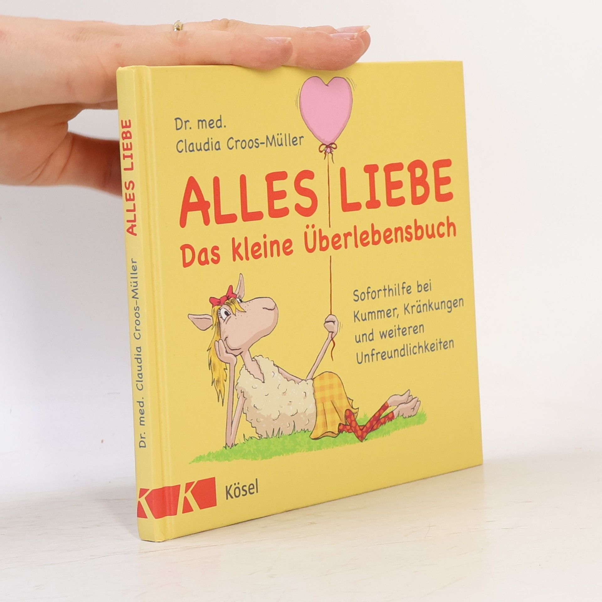 Claudia Cross-Müller Alles Liebe - das kleine Überlebensbuch