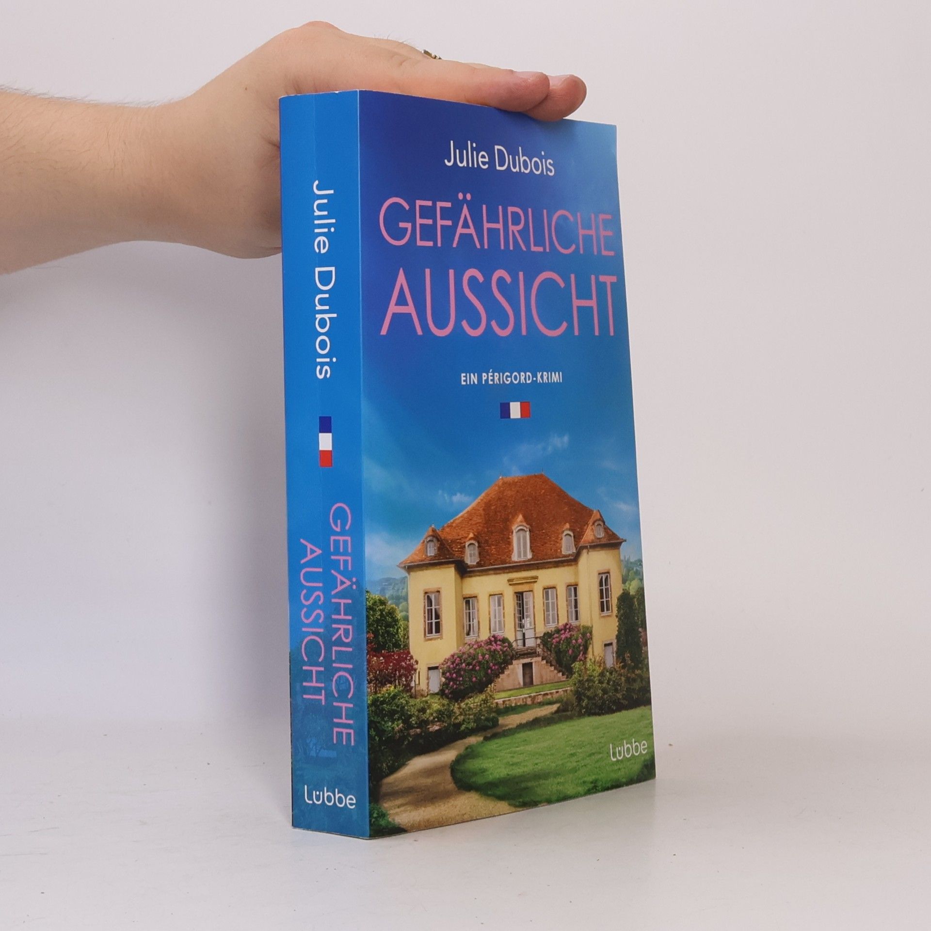Julie Dubois Gefährliche Aussicht