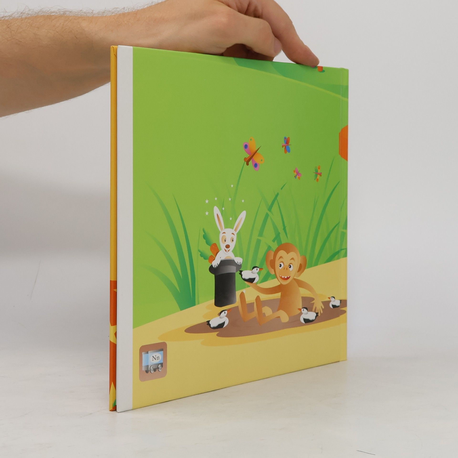 Kolektiv autorů N Buch