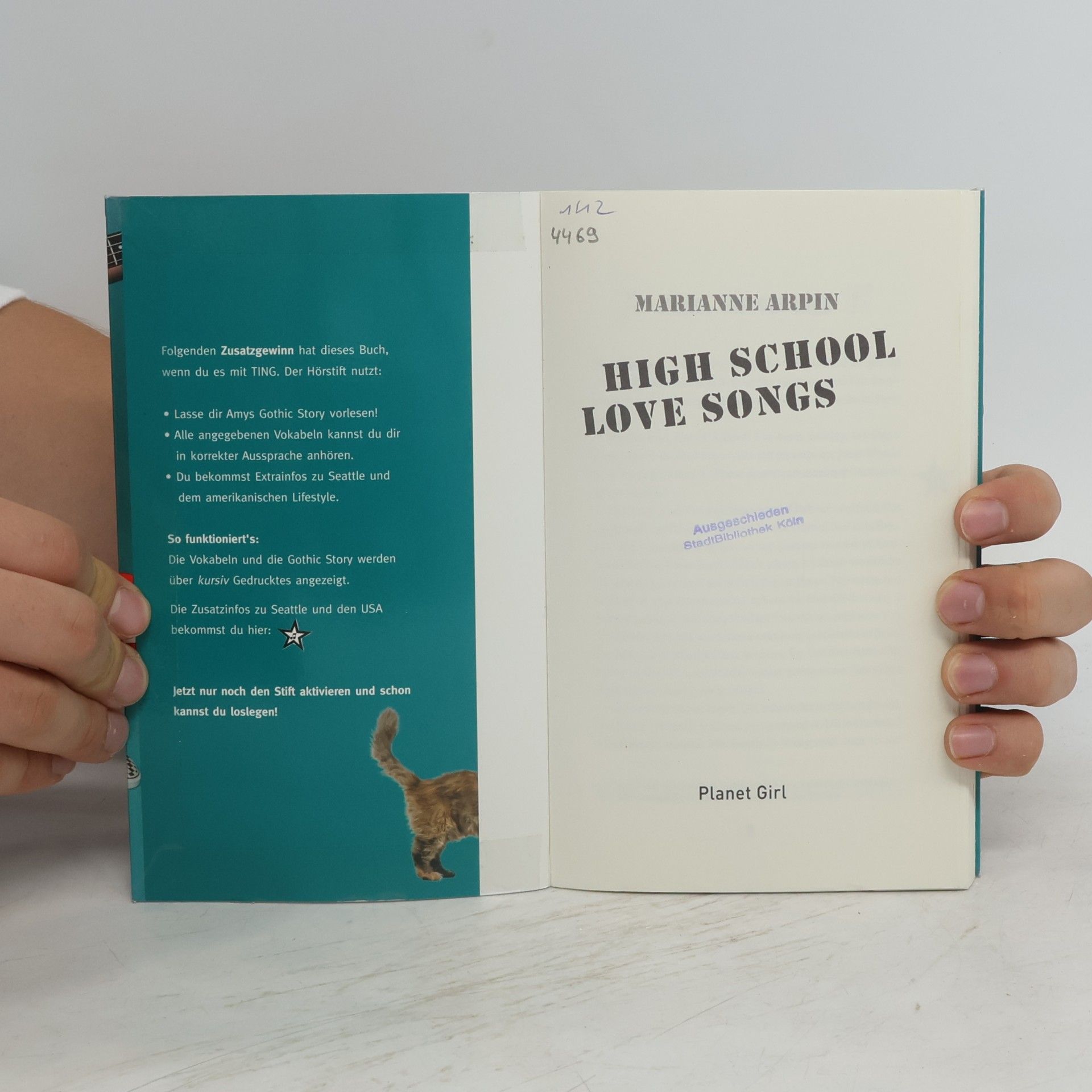 Marianne Arpin High School Love Songs
