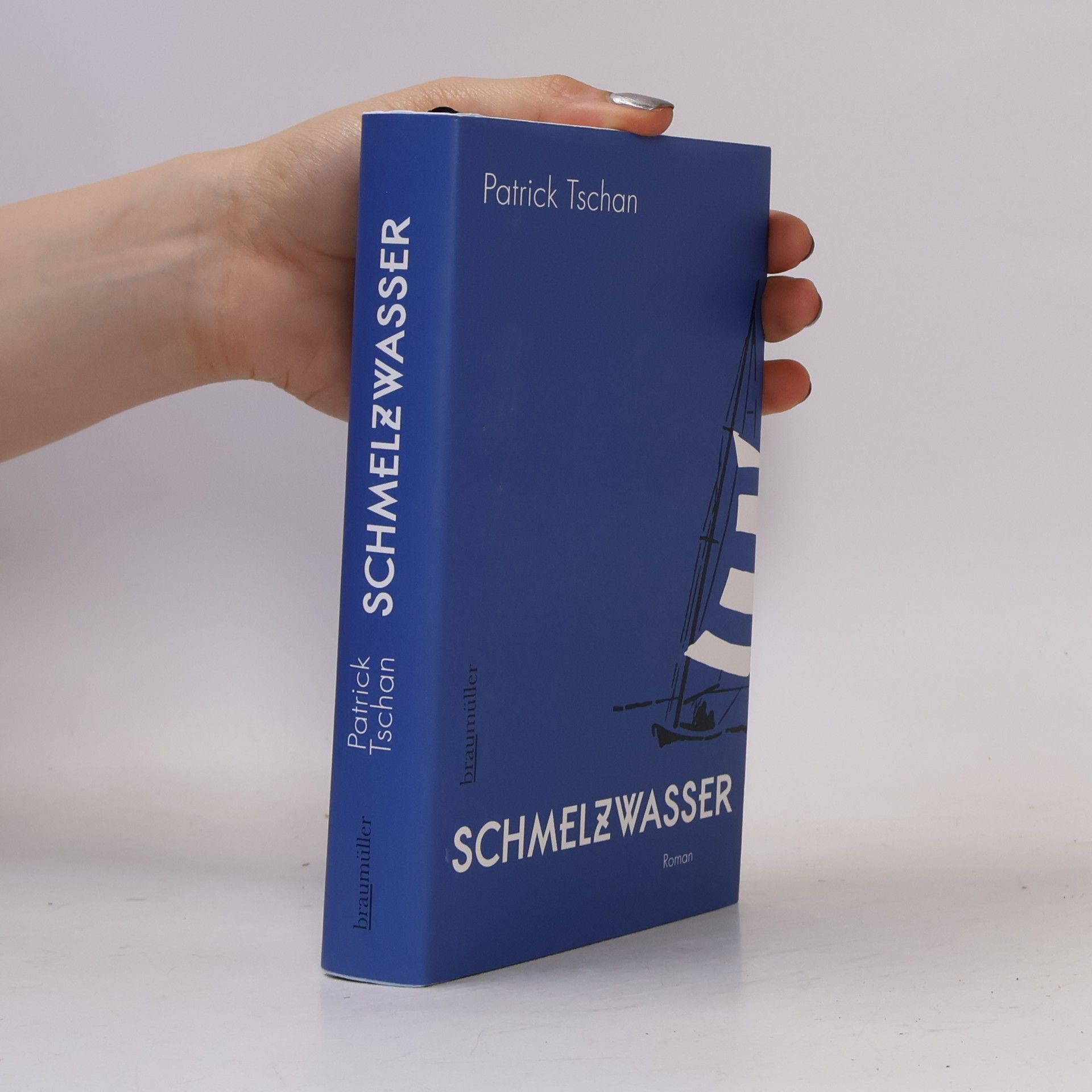 Patrick Tschan Schmelzwasser