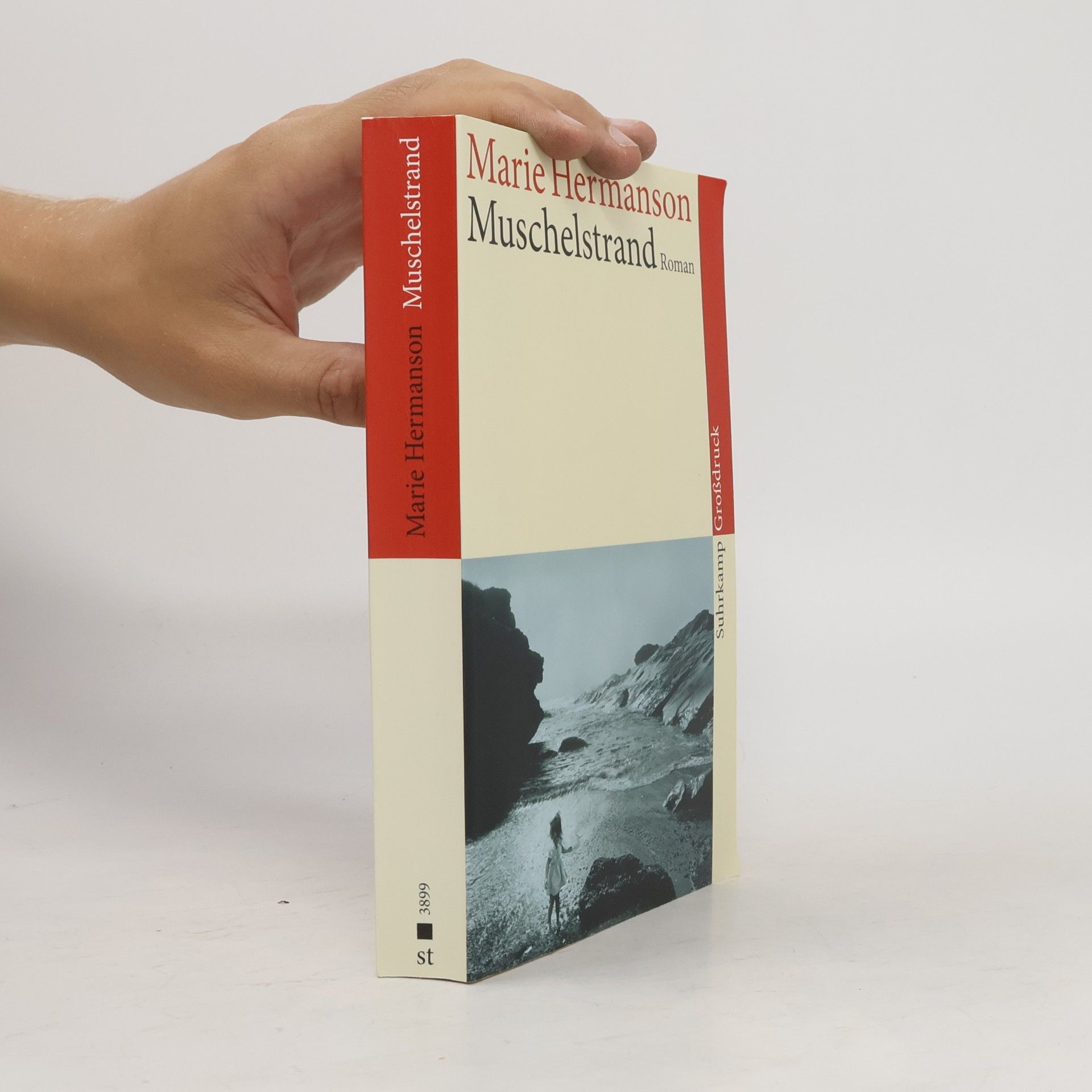 Marie Hermanson Muschelstrand