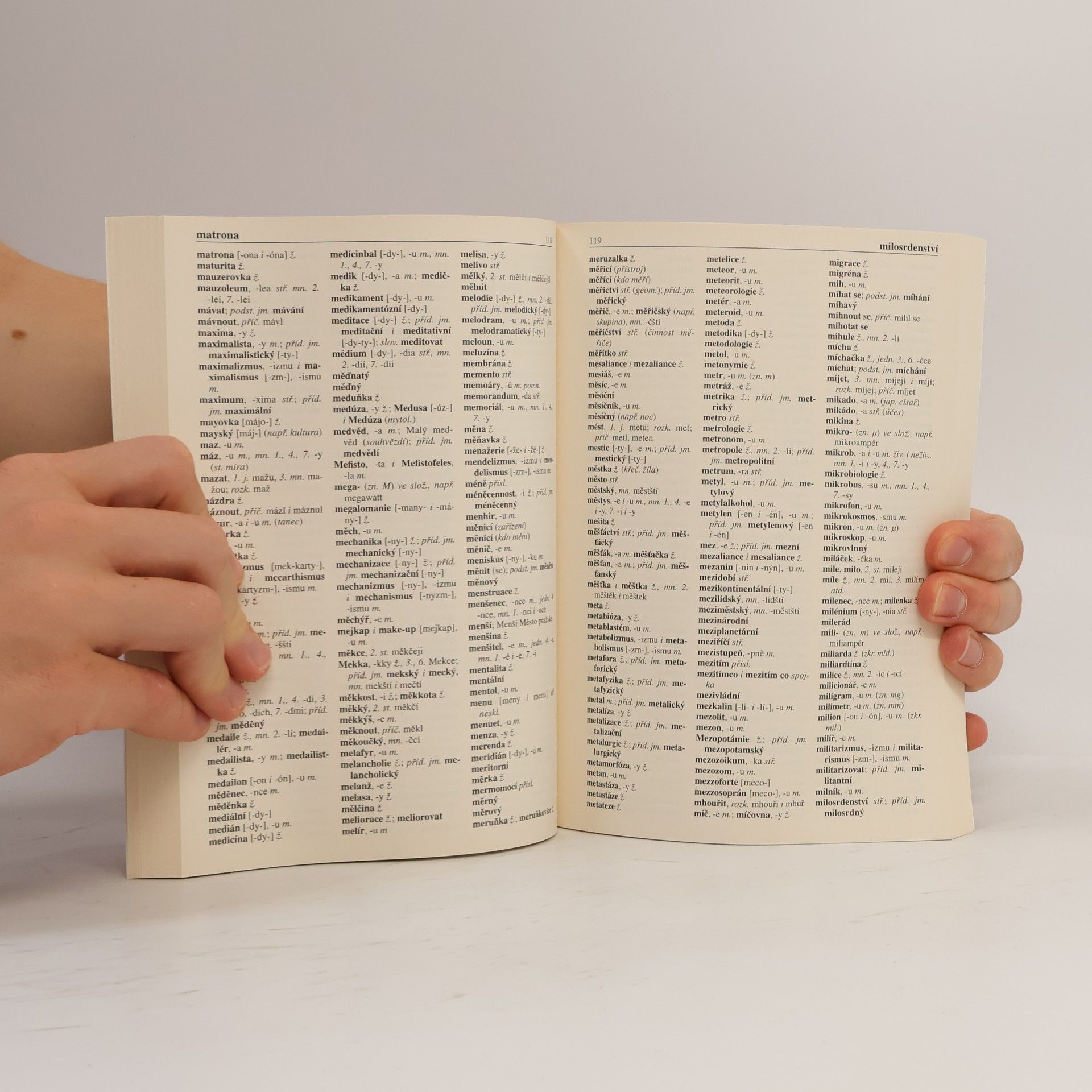 Autorenkollektiv Pravidla českého pravopisu