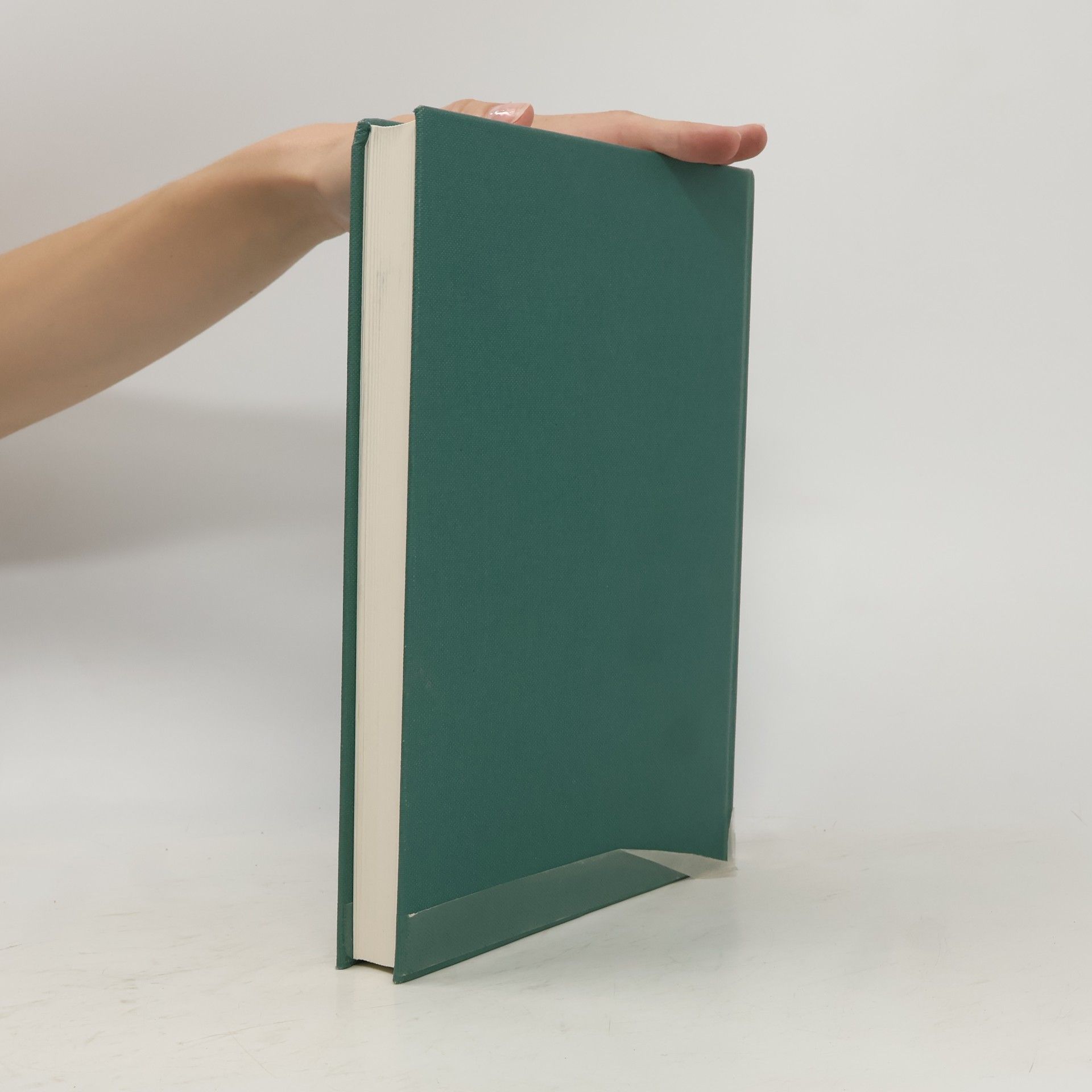 Christine Magin Die Inschriften der Stadt Goslar