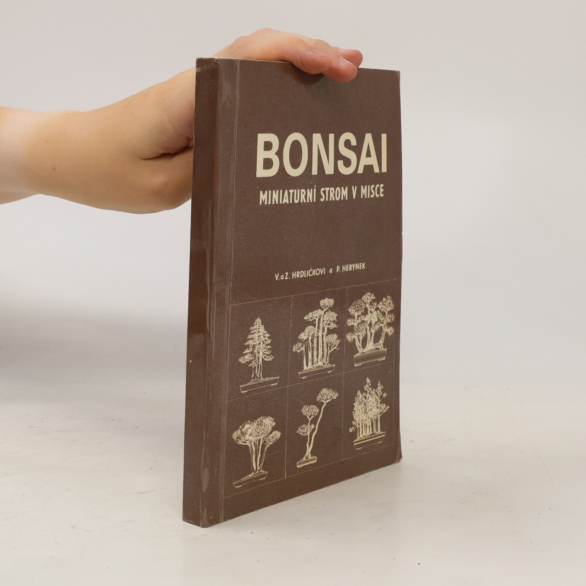 Zdeněk Hrdlička Bonsai. Miniaturní strom v misce