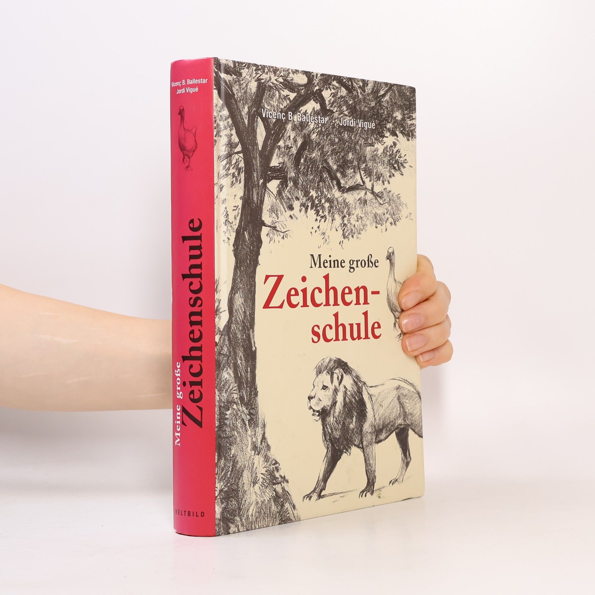 Meine große Zeichenschule