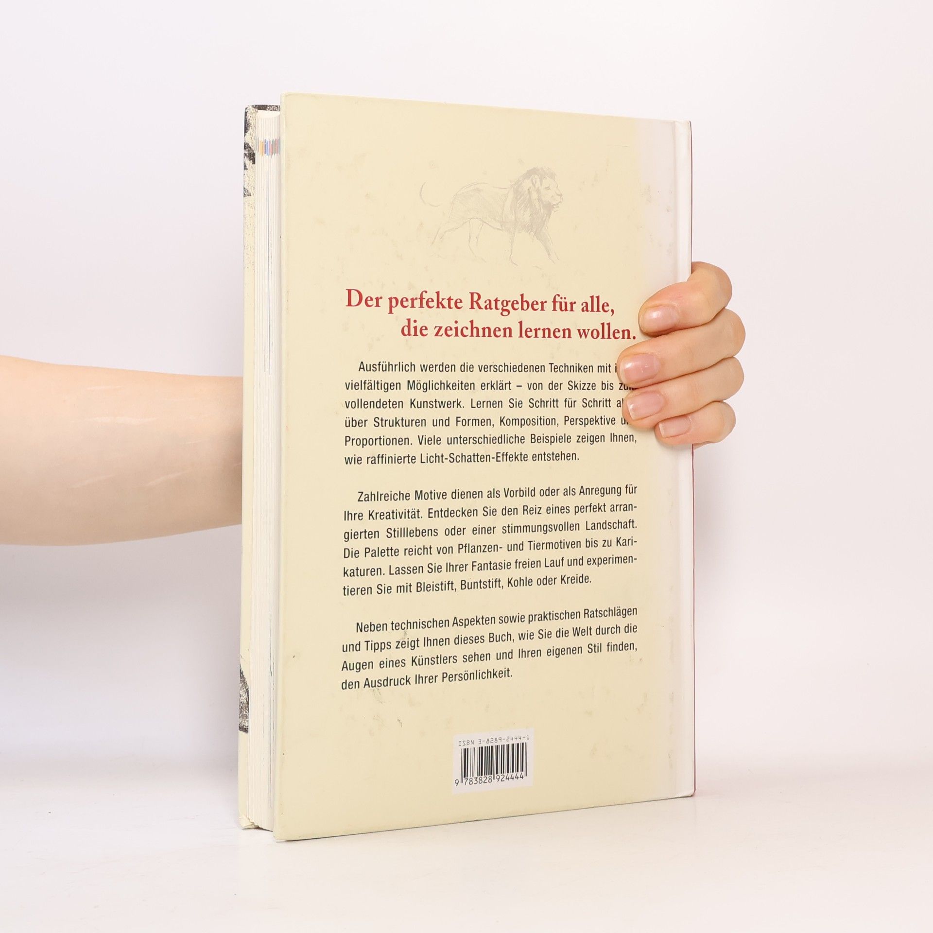 Vicenc Ballestar Meine große Zeichenschule
