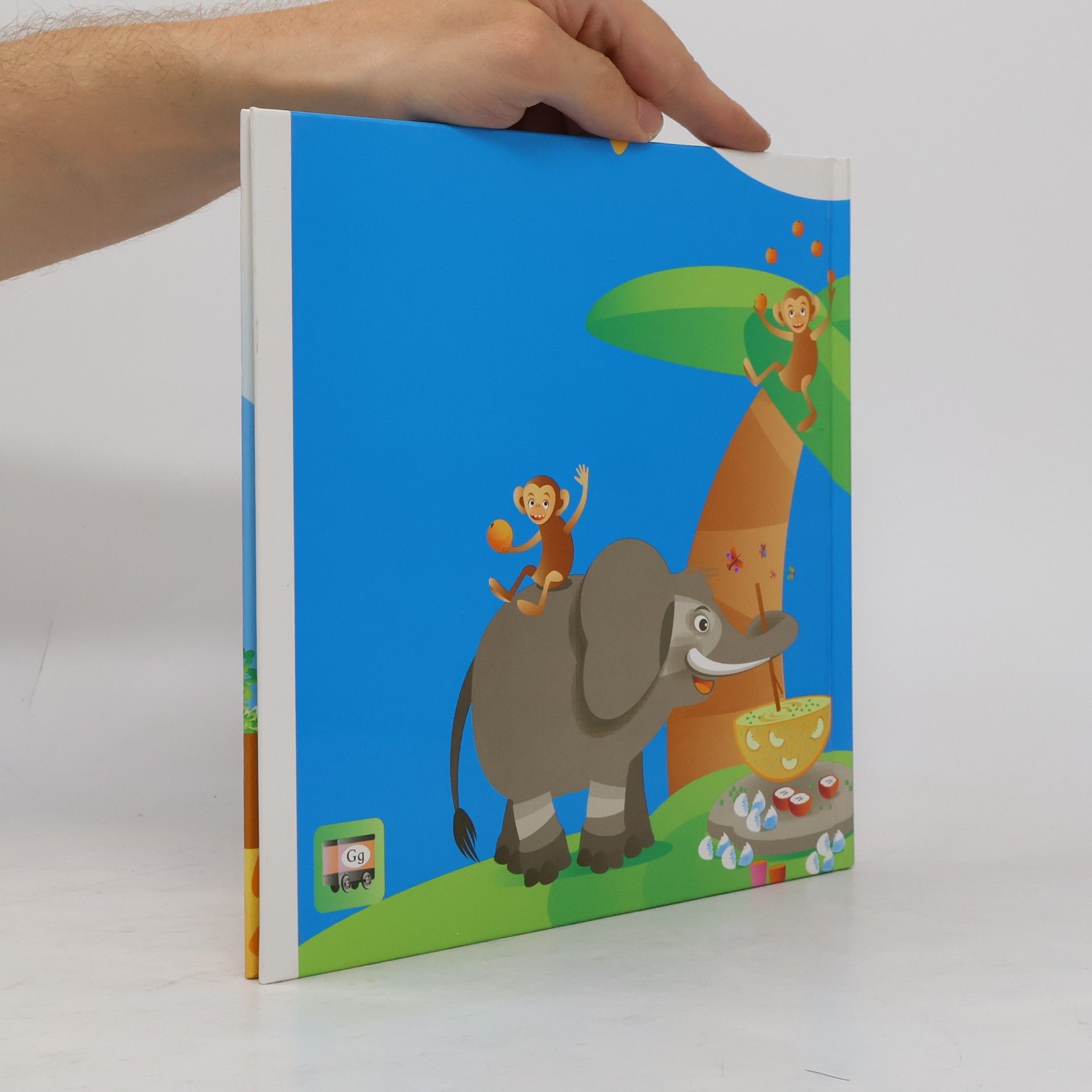 Pia Wall Buch G