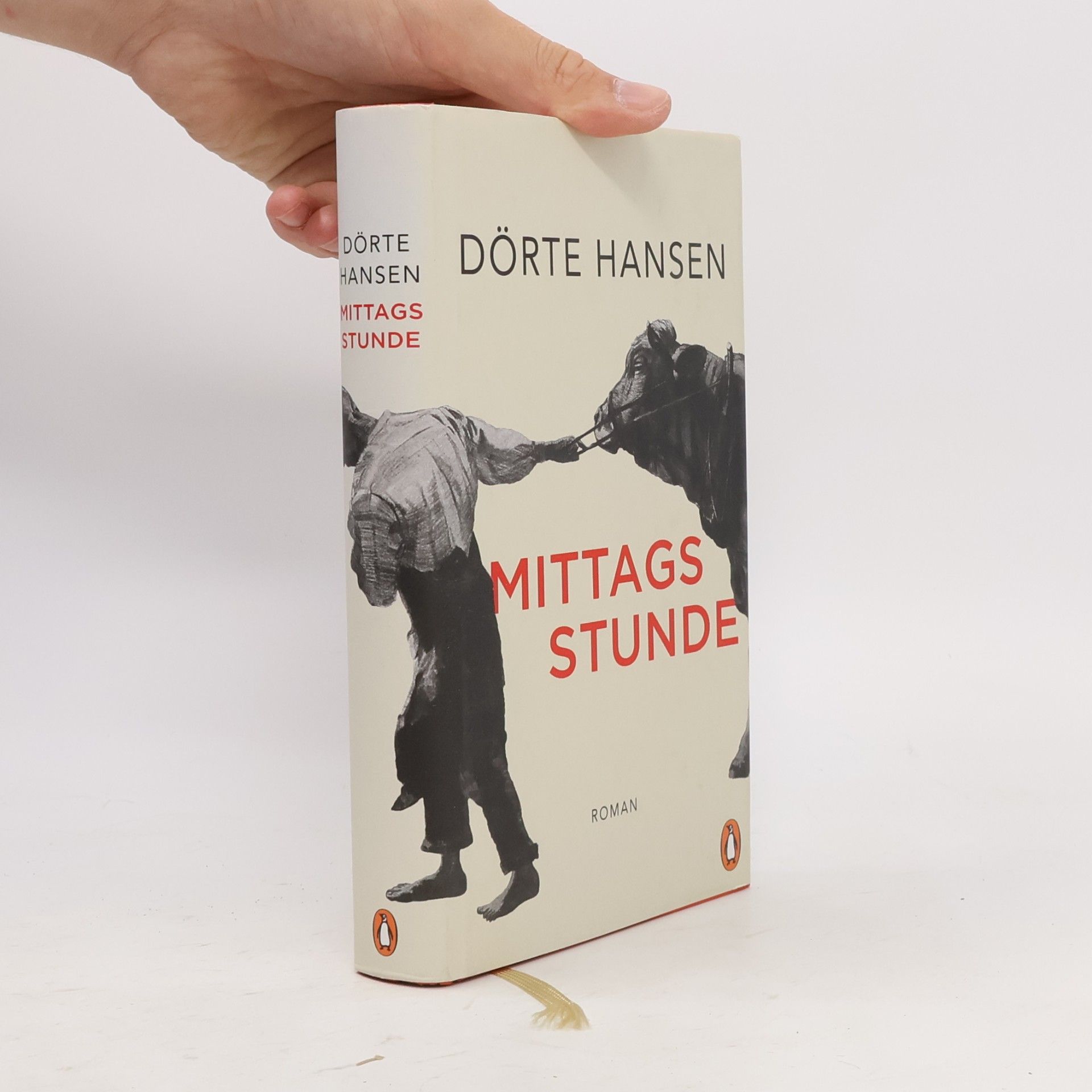 Dörte Hansen Mittagsstunde