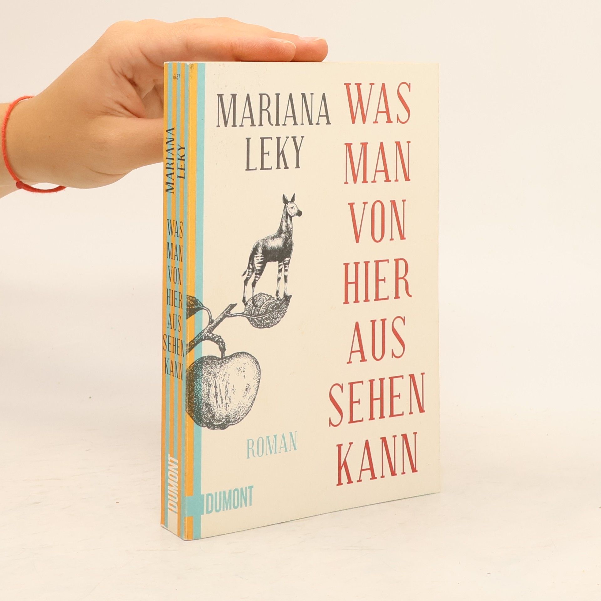 Mariana Leky Was man von hier aus sehen kann