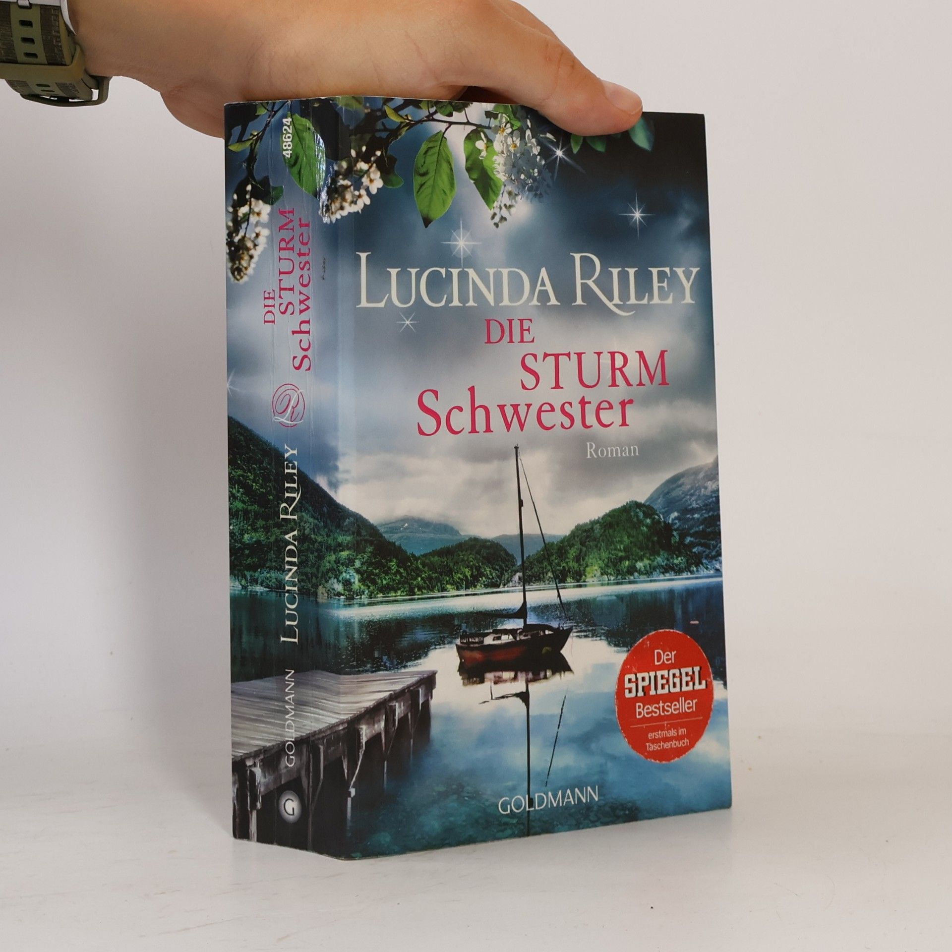 Lucinda Riley Die Sturmschwester