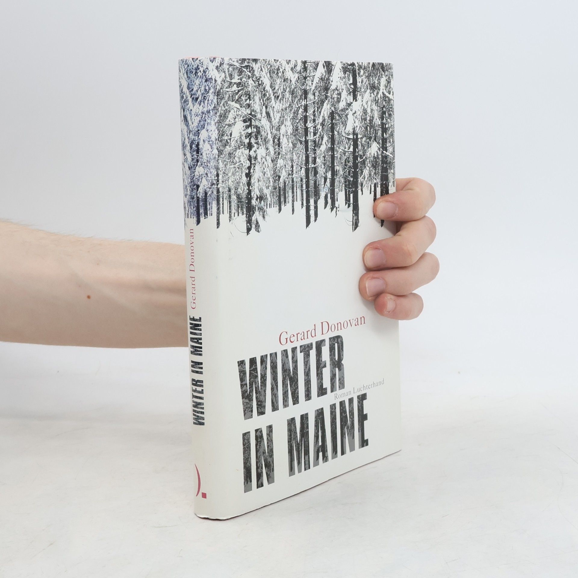 Winter in Maine