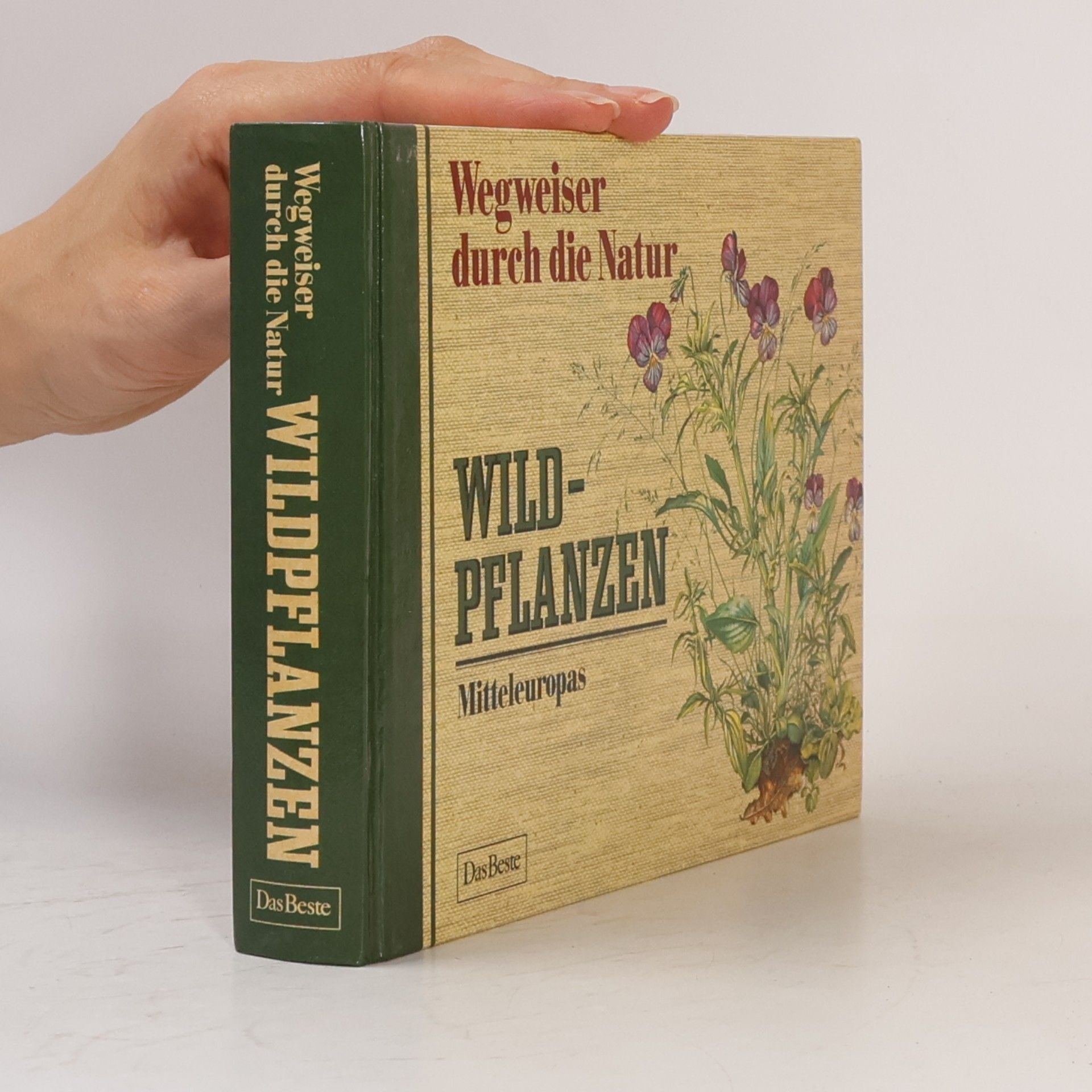 Autorenkollektiv Wildpflanzen Mitteleuropas