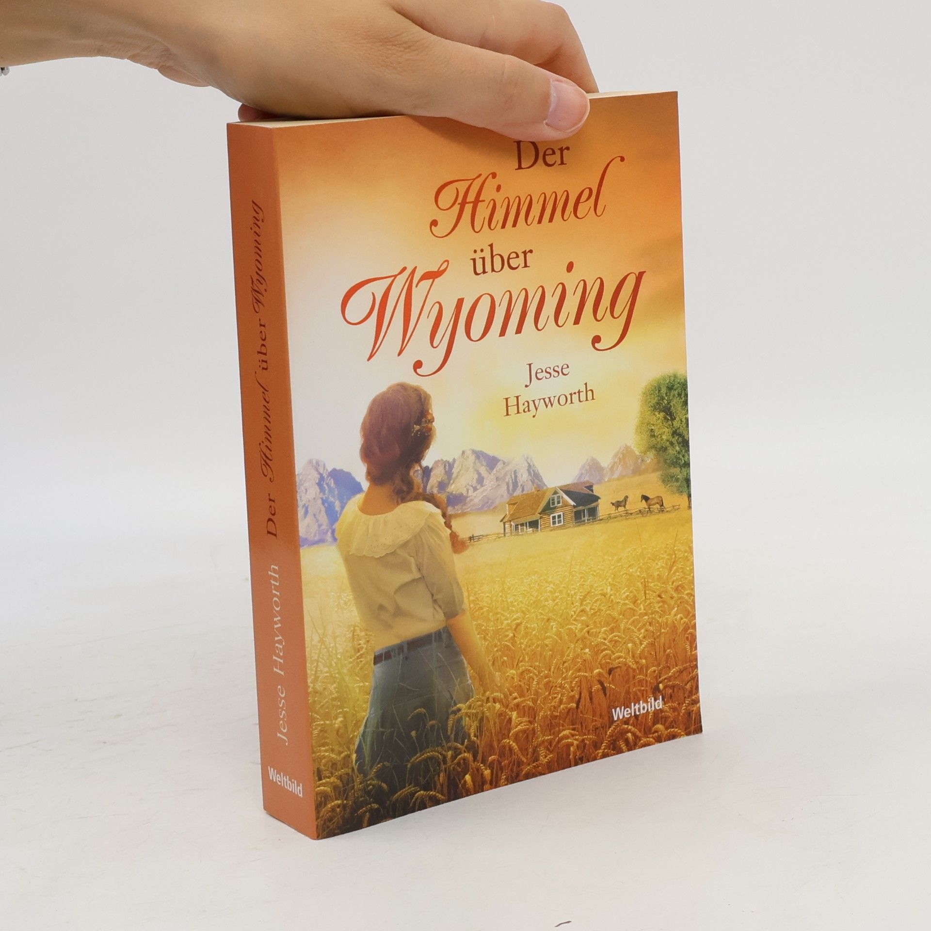 Jesse Hayworth Der Himmel über Wyoming
