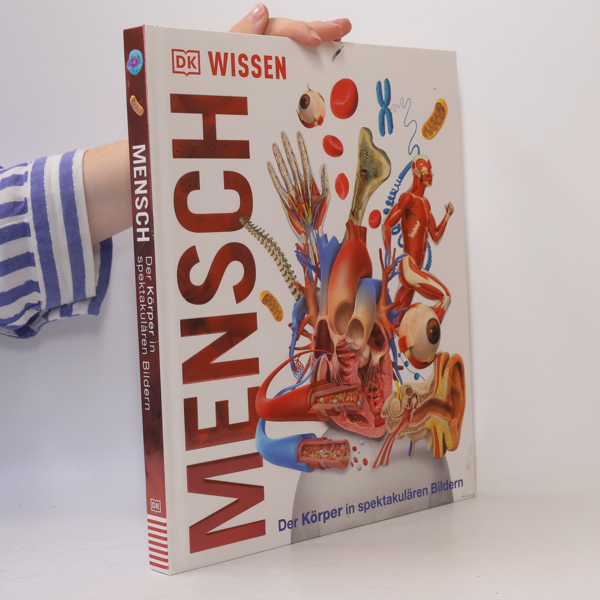 Autorenkollektiv Mensch - der Körper in spektakulären Bildern