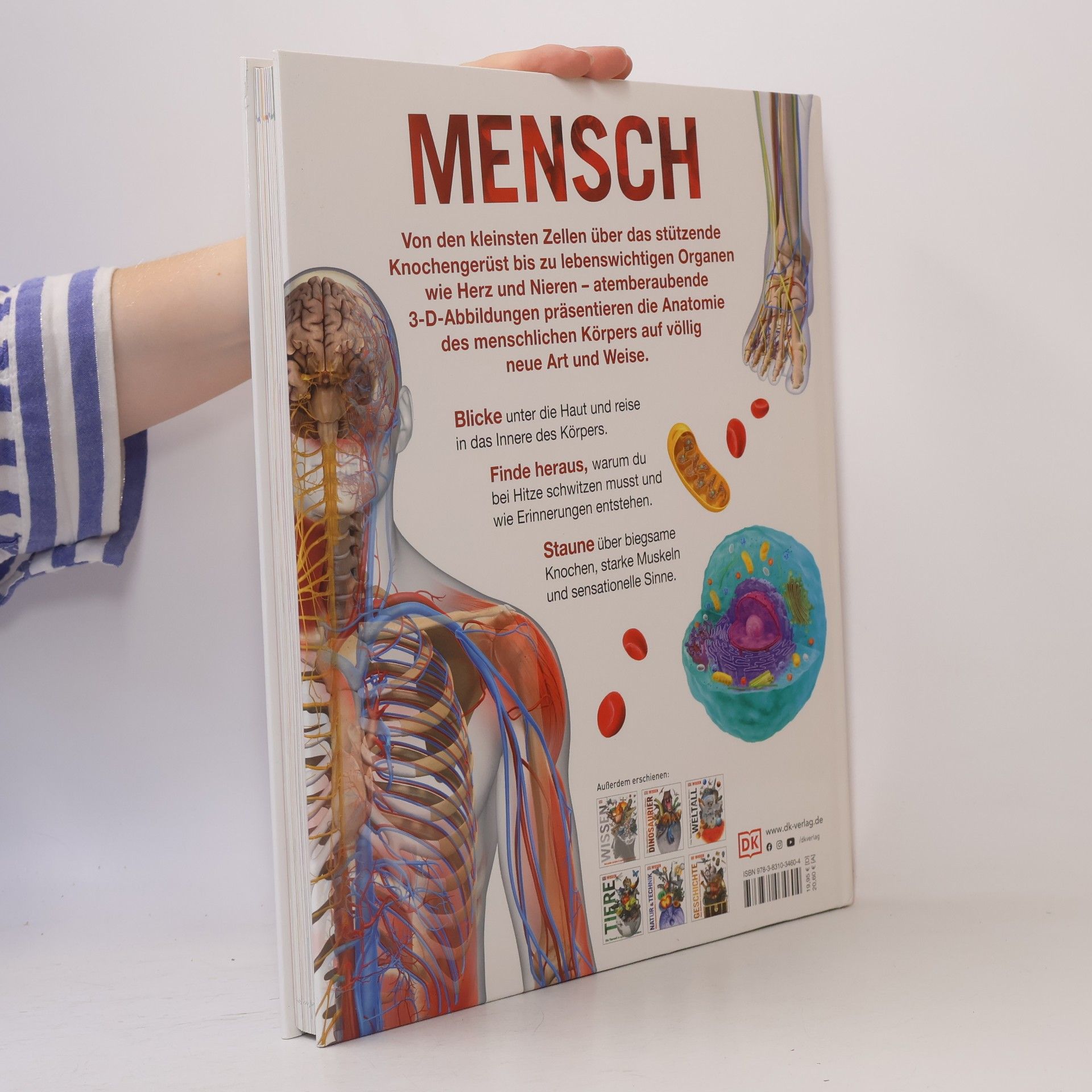 Mensch - der Körper in spektakulären Bildern