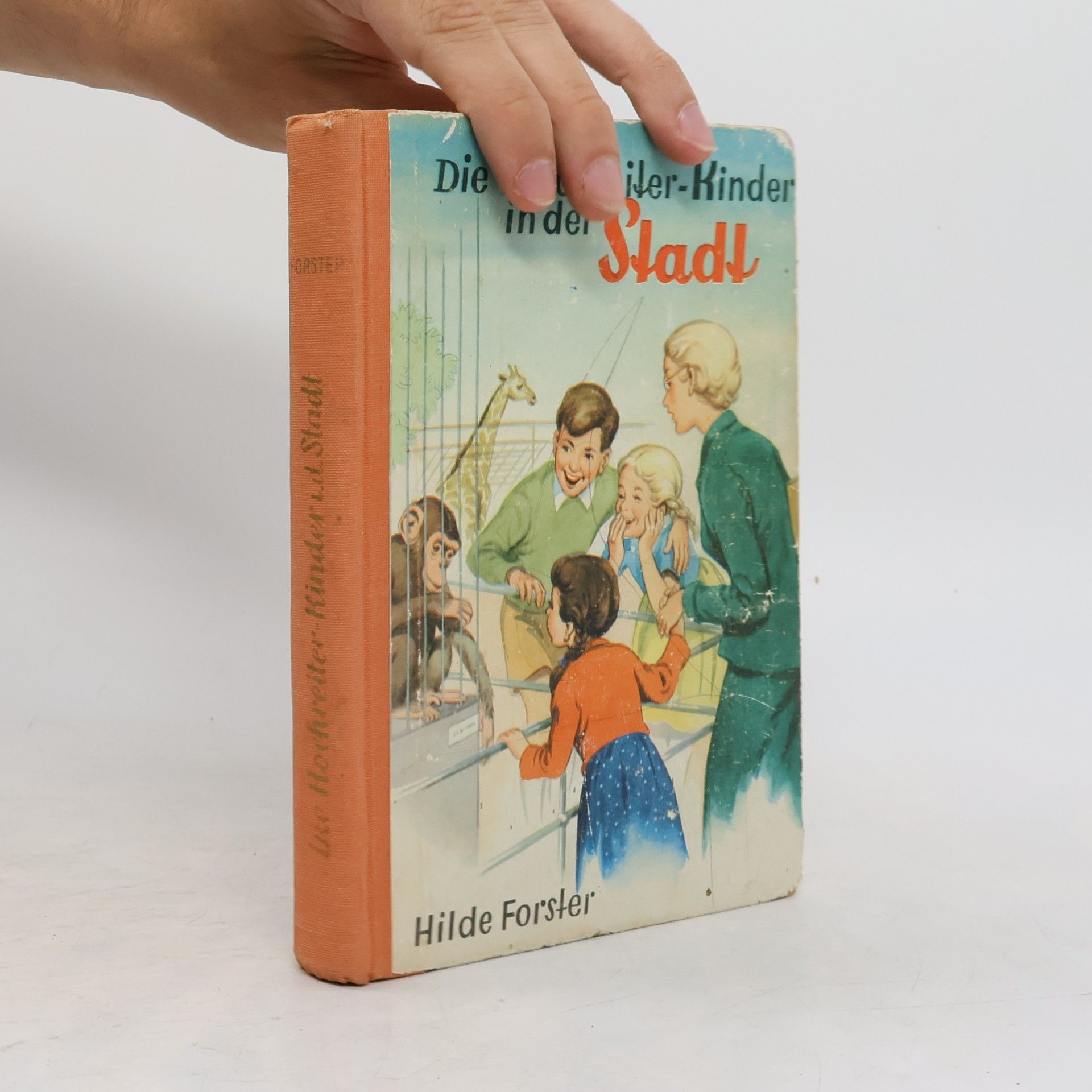 Hilde Forster Die Hochreiler-Kinder in der Stadt