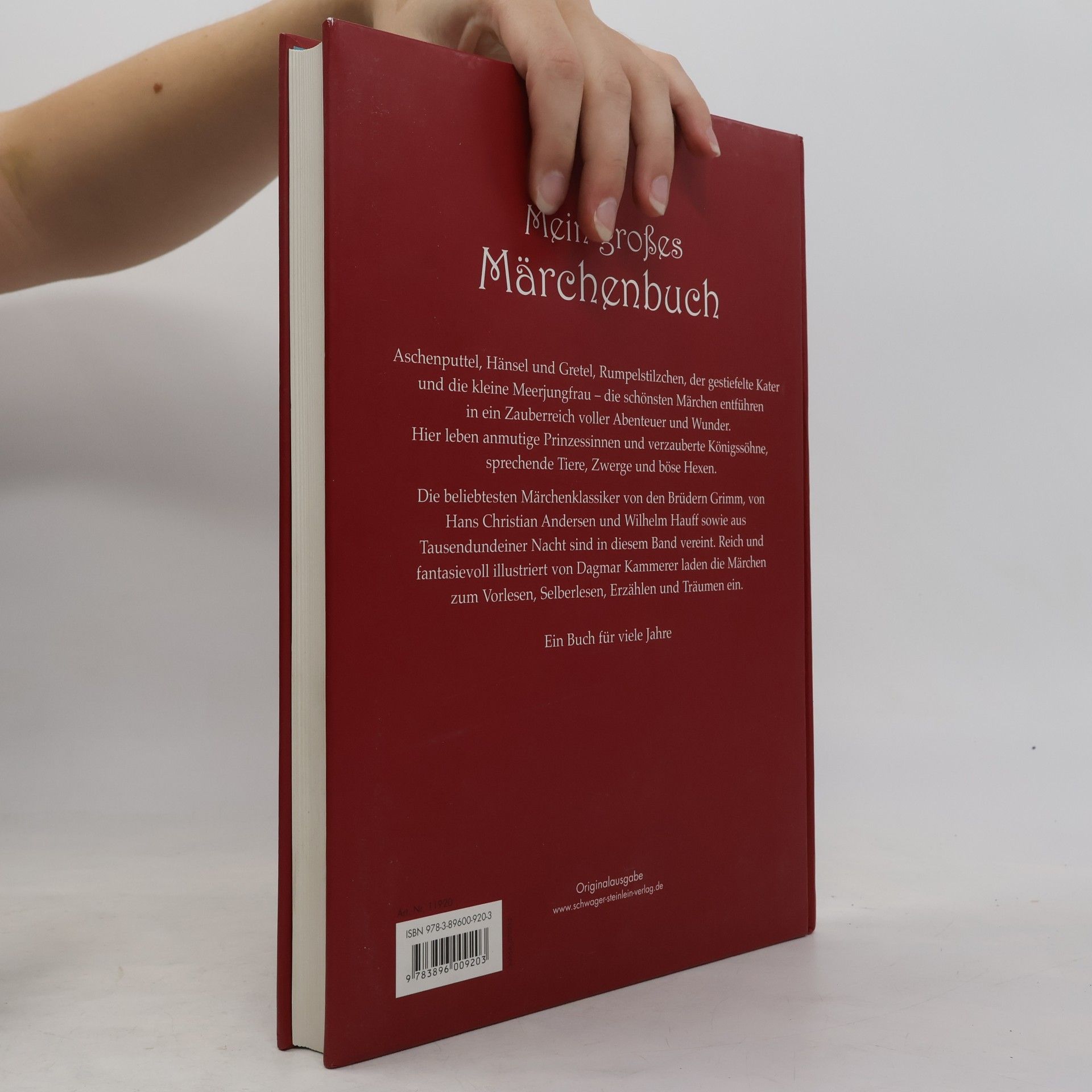 Dagmar Kammerer Mein großes Märchenbuch