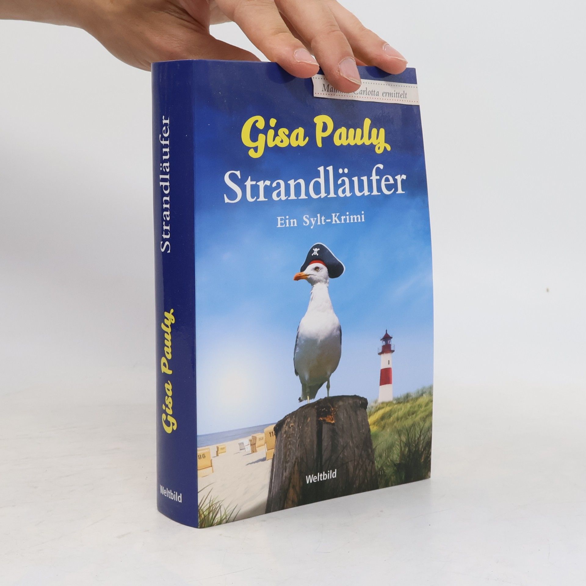Gisa Pauly Strandläufer