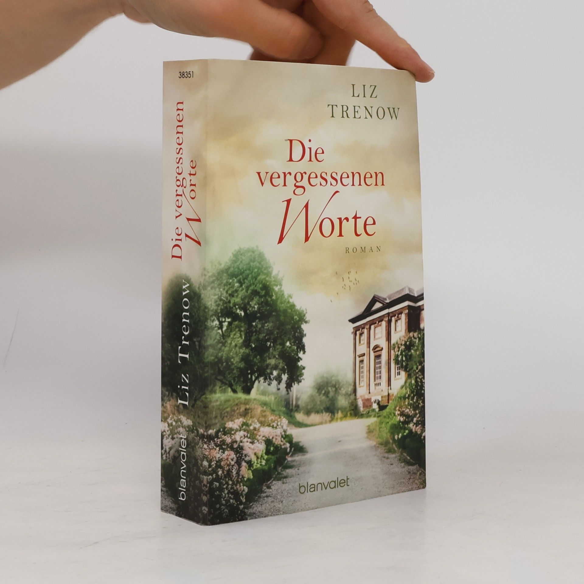 Liz Trenow Die vergessenen Worte