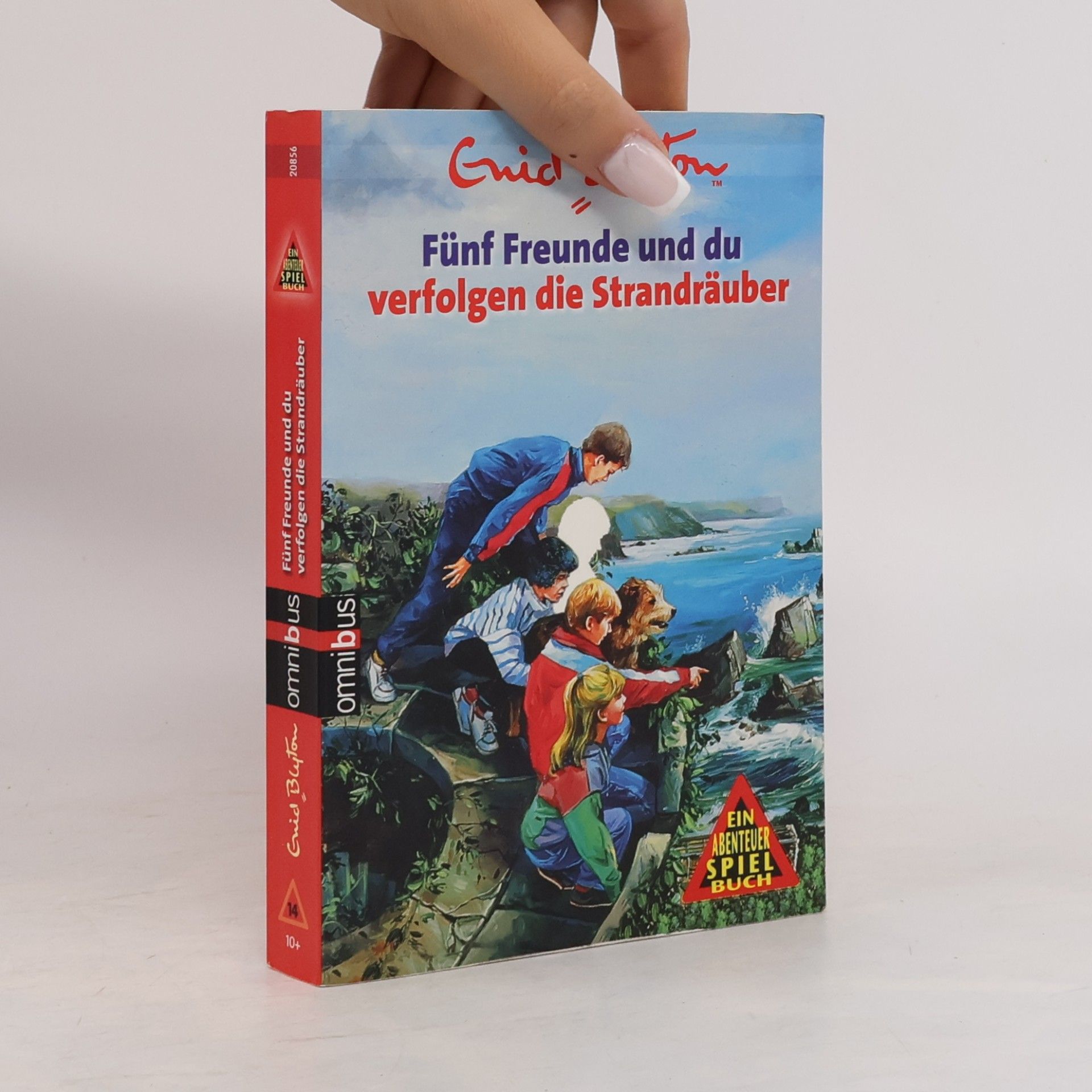 Enid Blyton Fünf Freunde und du verfolgen die Strandräuber.