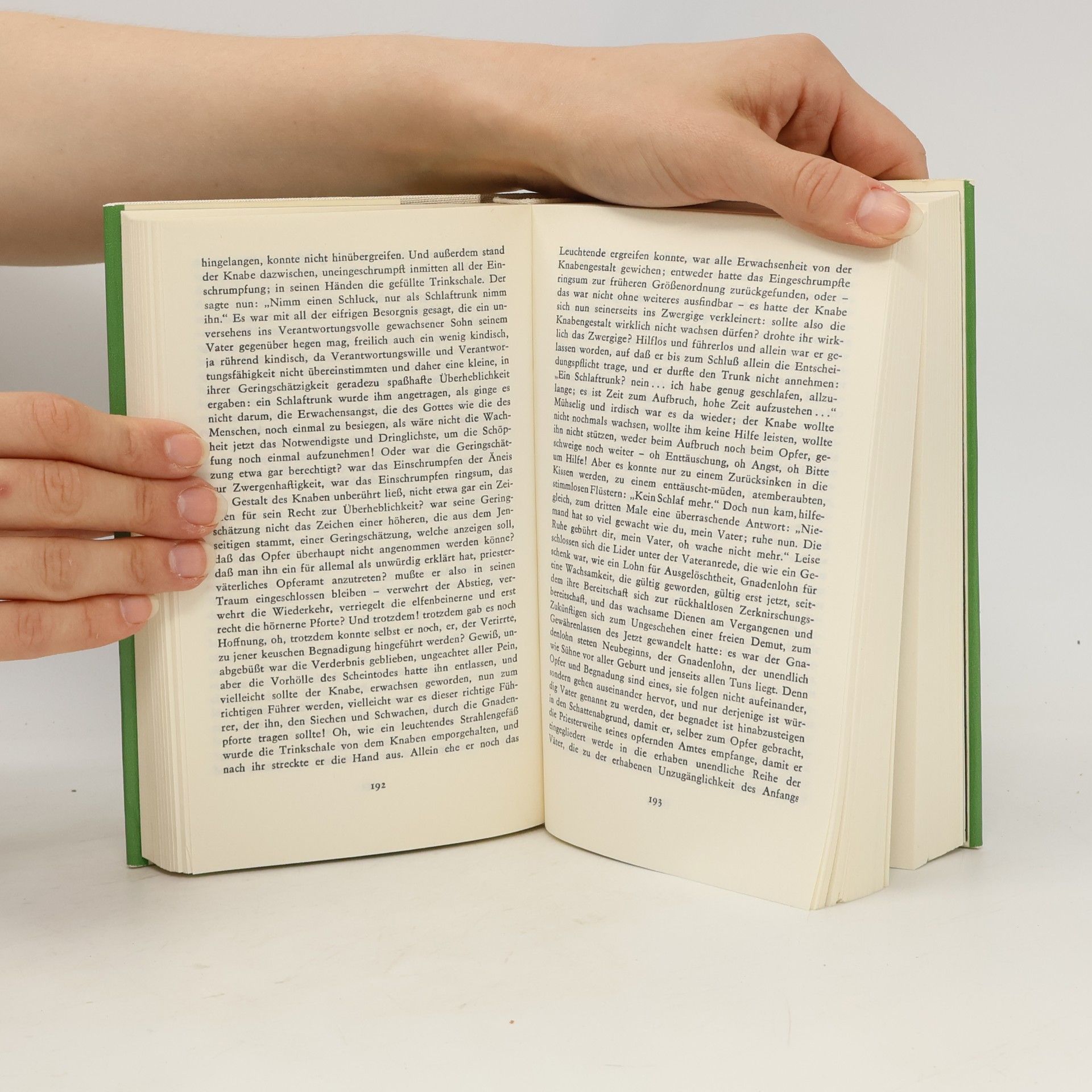 Hermann Broch Der Tod des Vergil