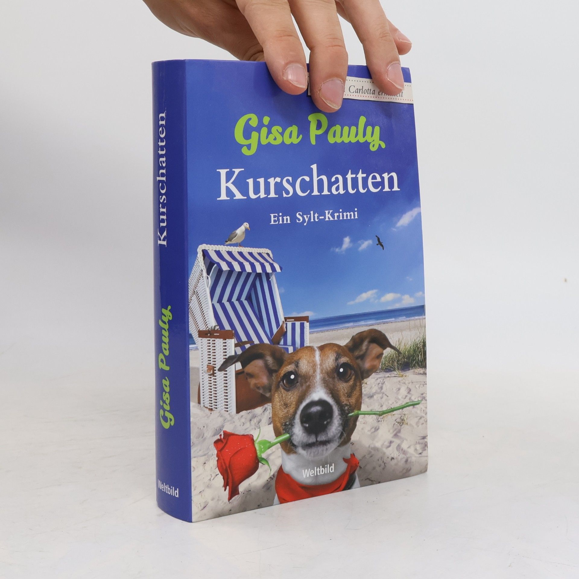 Gisela Pauly Kurschatten