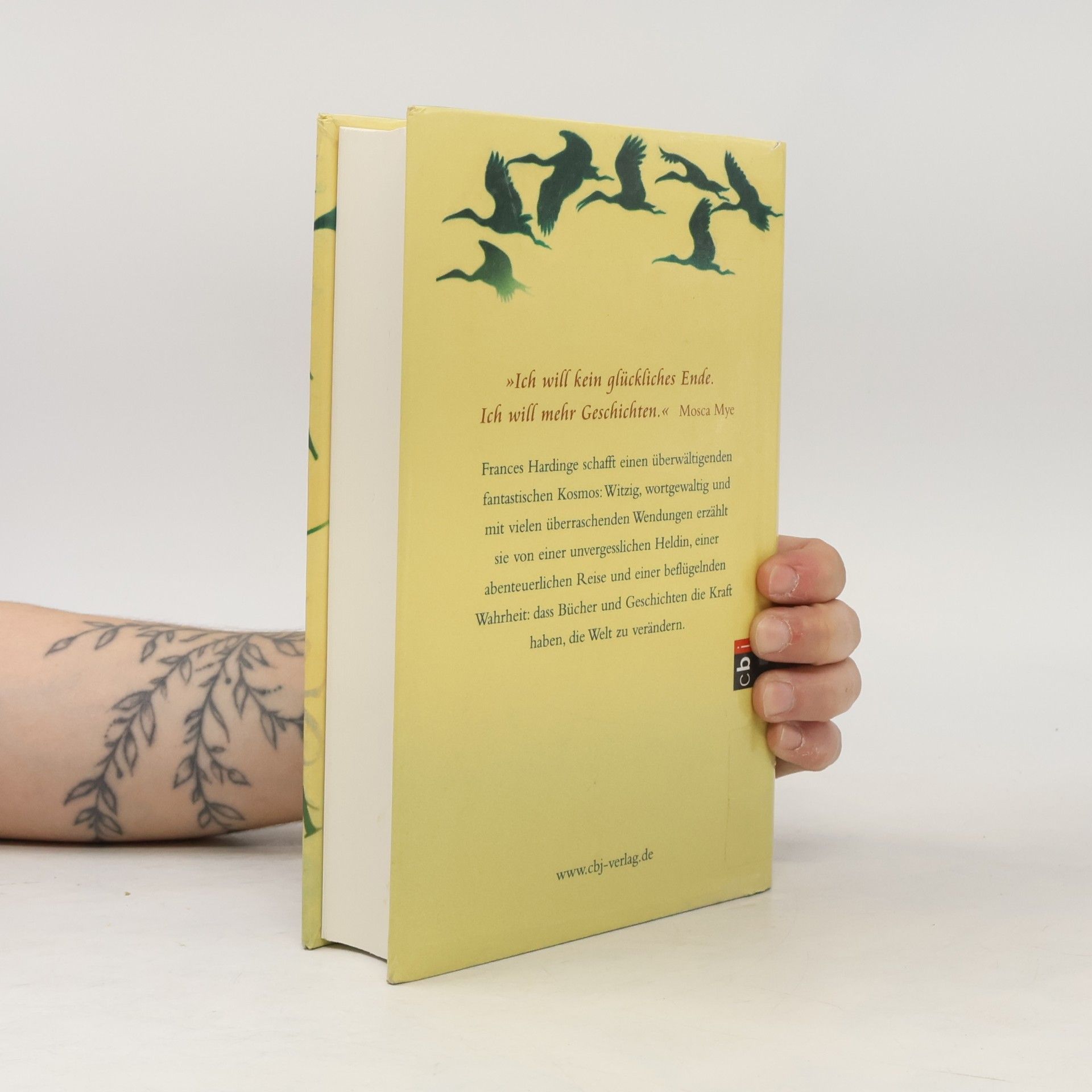 Frances Hardinge Die Herrin der Worte