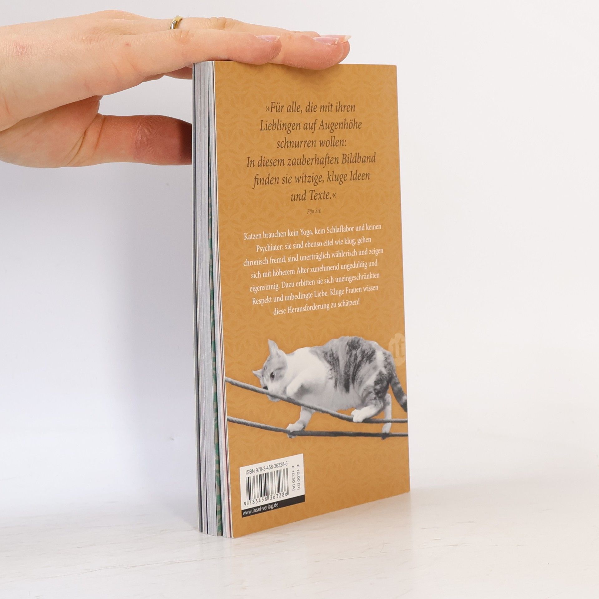 Kluge Gedanken für Frauen, die Katzen lieben