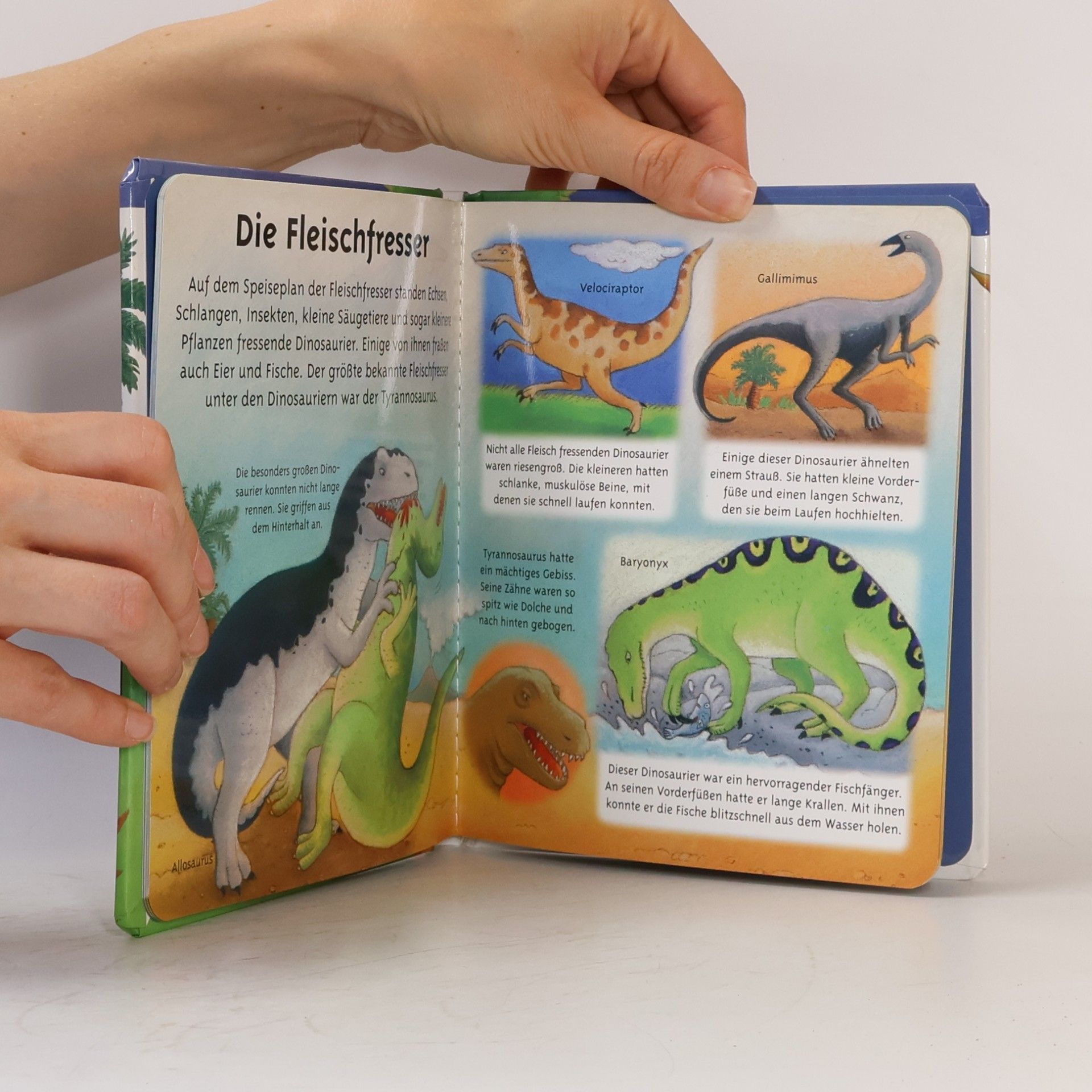 Émilie Beaumont Die Dinosaurier