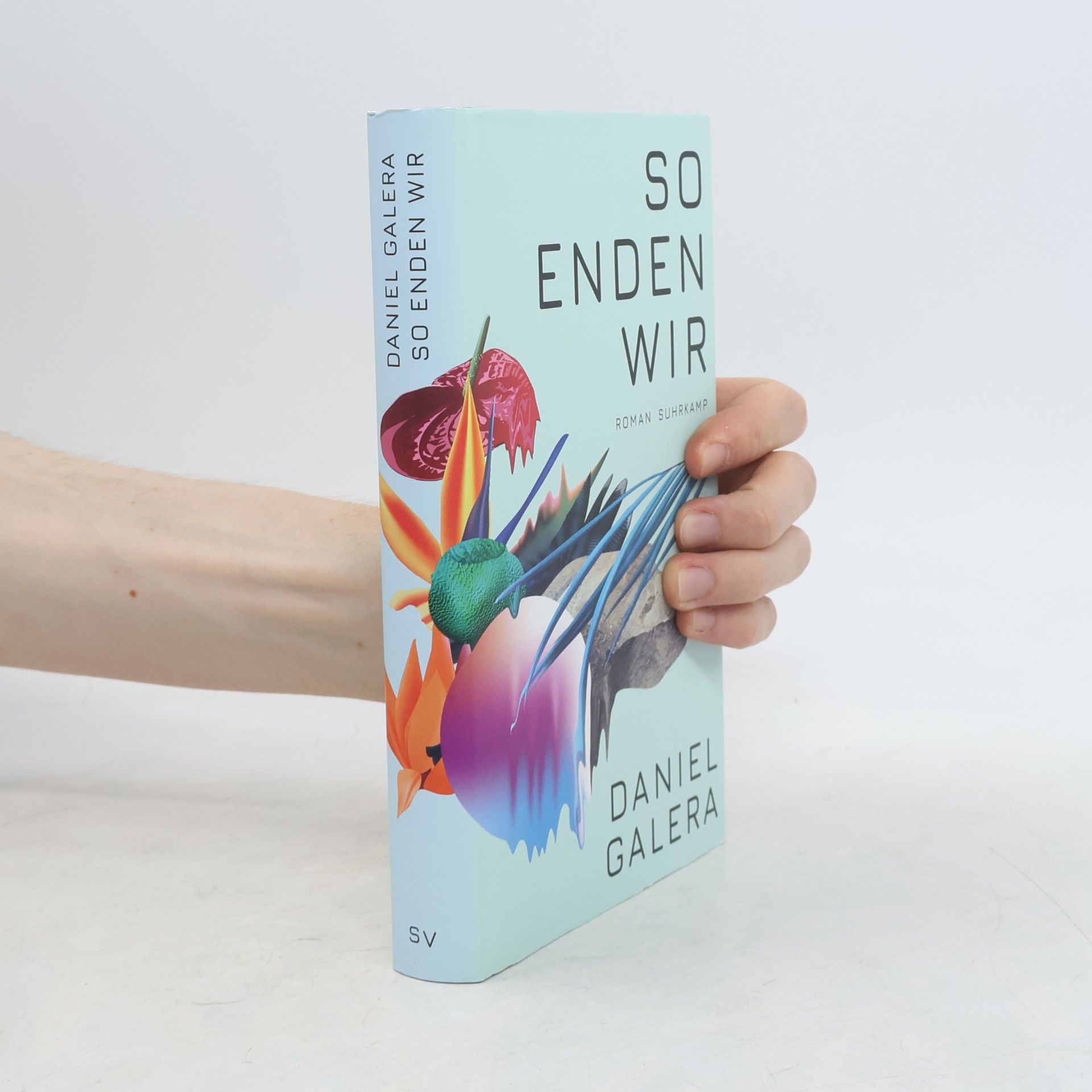 Daniel Galera So enden wir