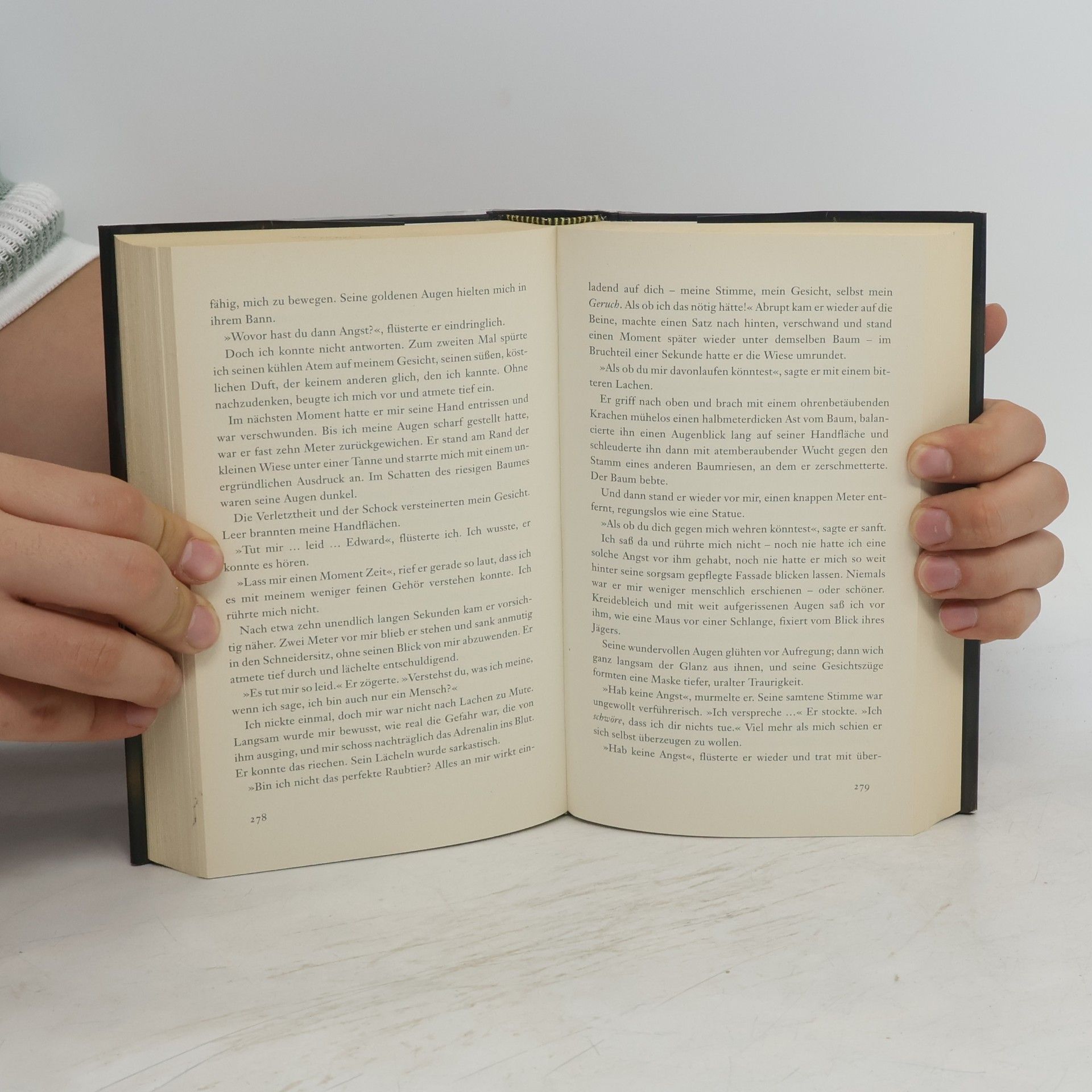 Stephenie Meyer Biss zum Morgengrauen