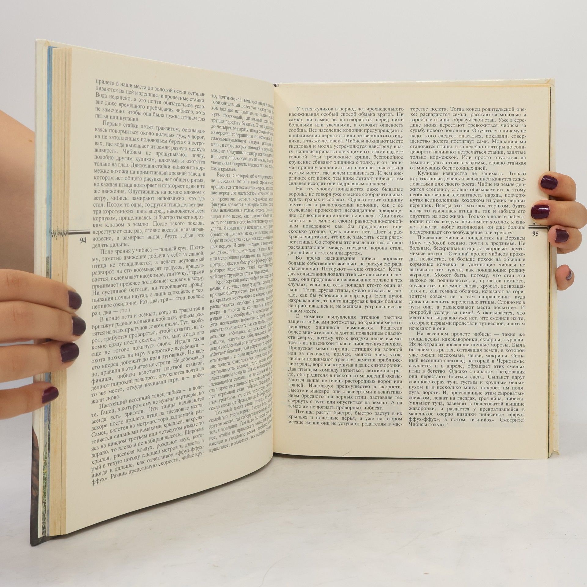 Leonid Semago Птицы
