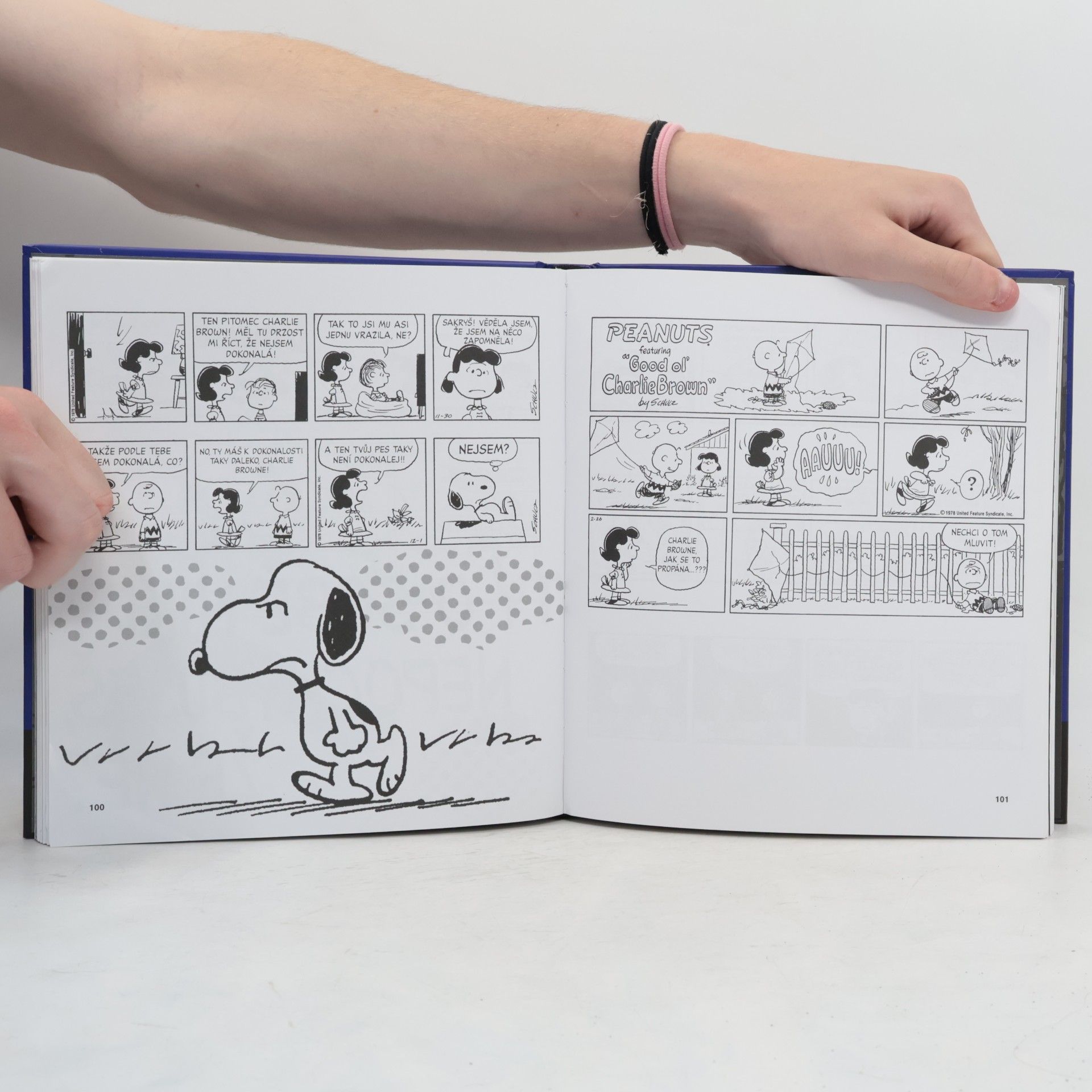 Charles M. Schulz Můj ty smutku! : vybrané stripy Peanuts z let 1960-2000