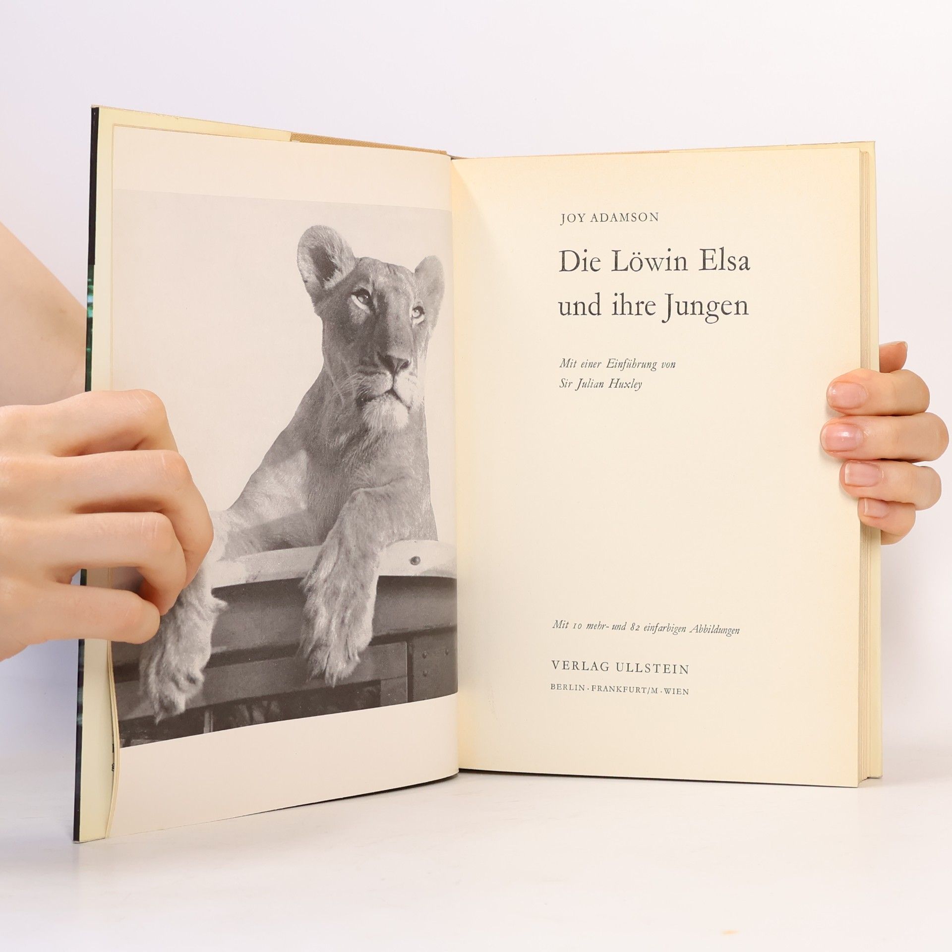 Joy Adamson Die Löwin Elsa und ihre Jungen