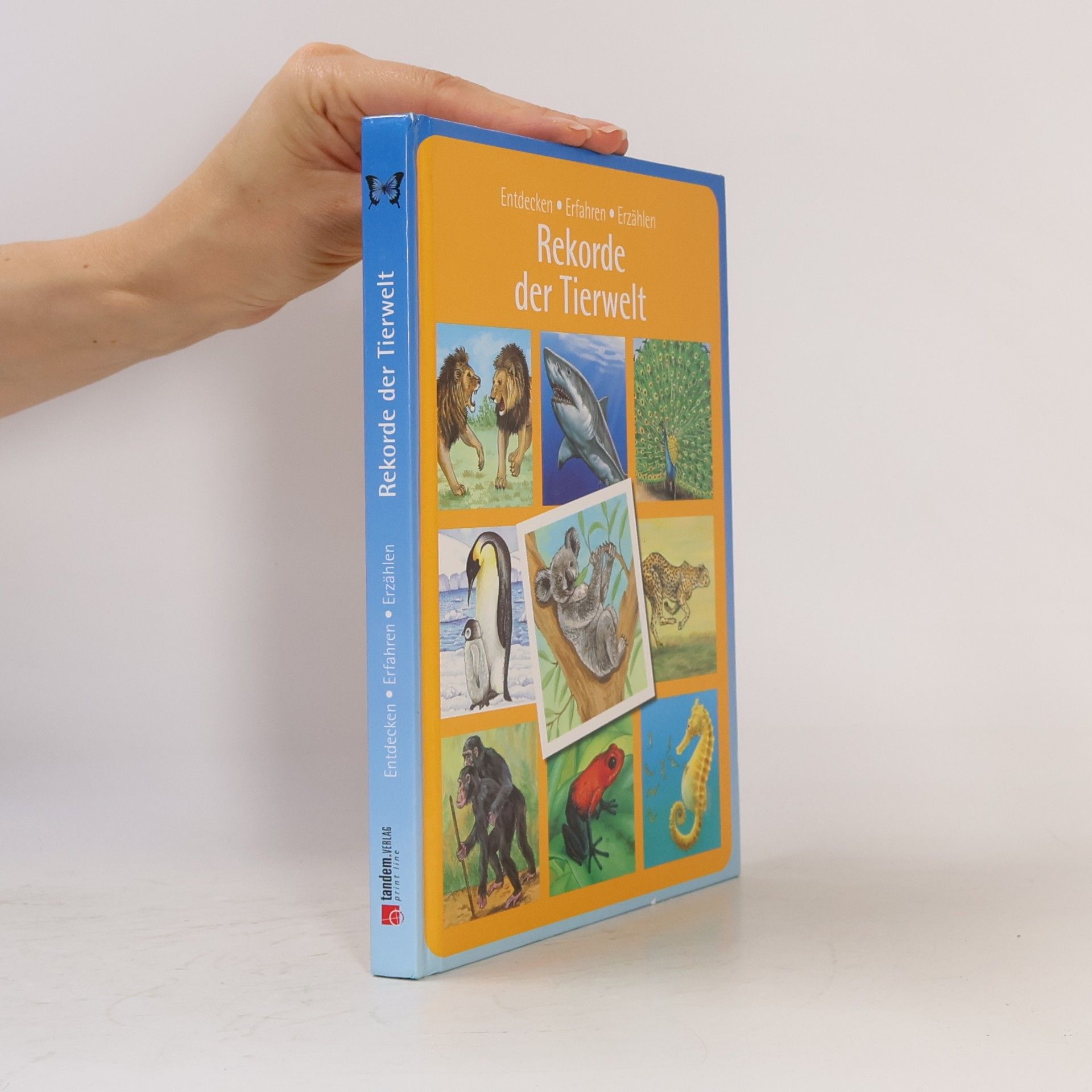 Autorenkollektiv Rekorde der Tierwelt