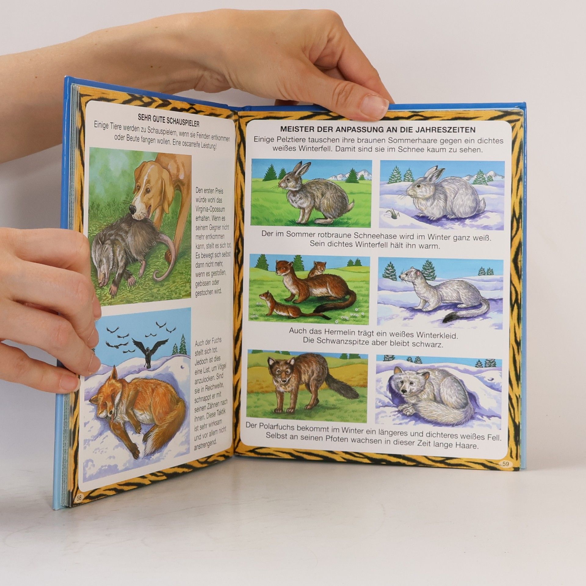 Various authors Rekorde der Tierwelt