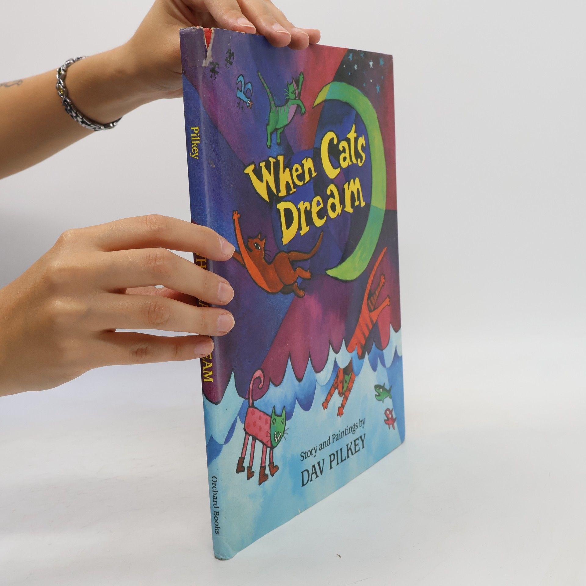 Dav Pilkey When Cats Dream
