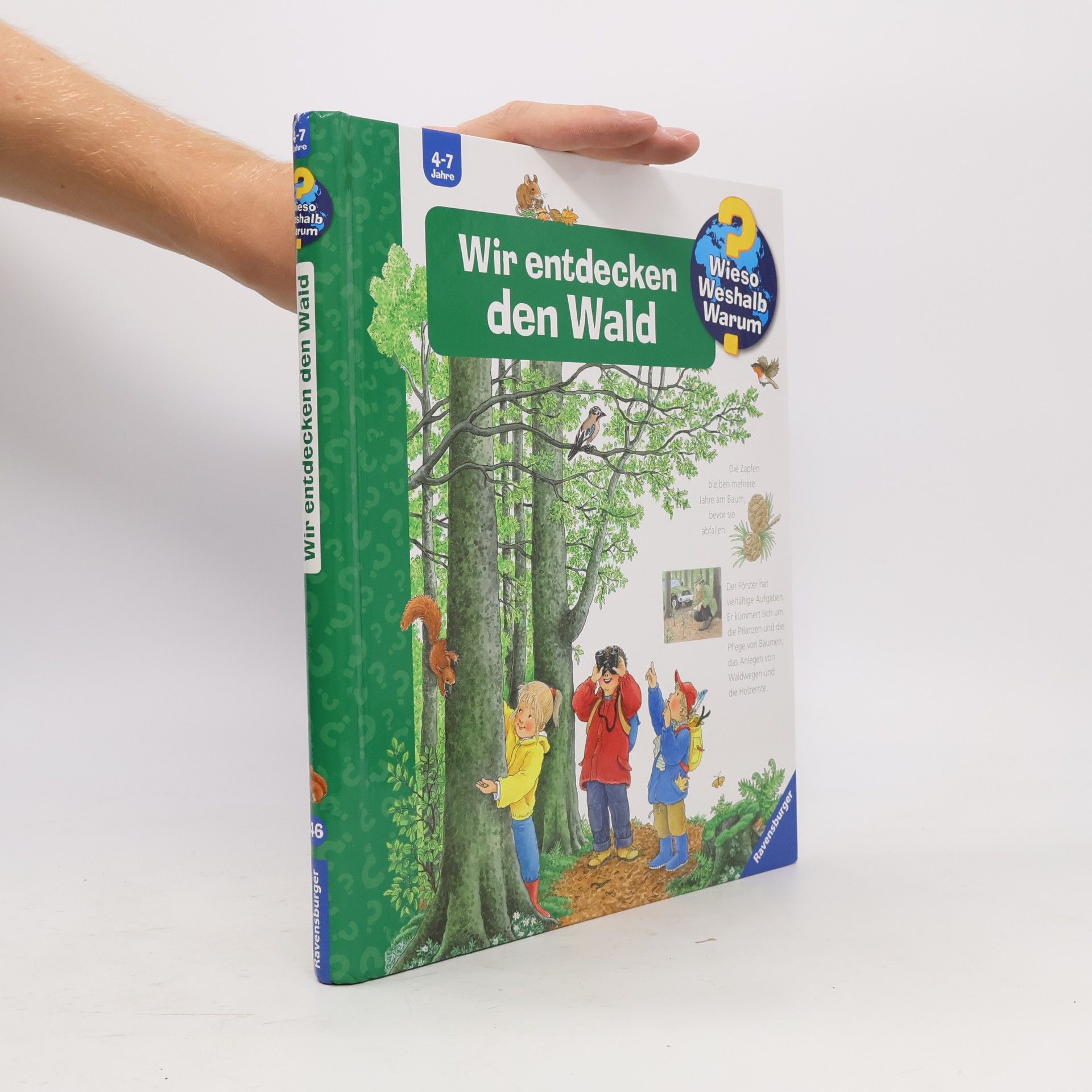 Angela Weinhold Wir entdecken den Wald