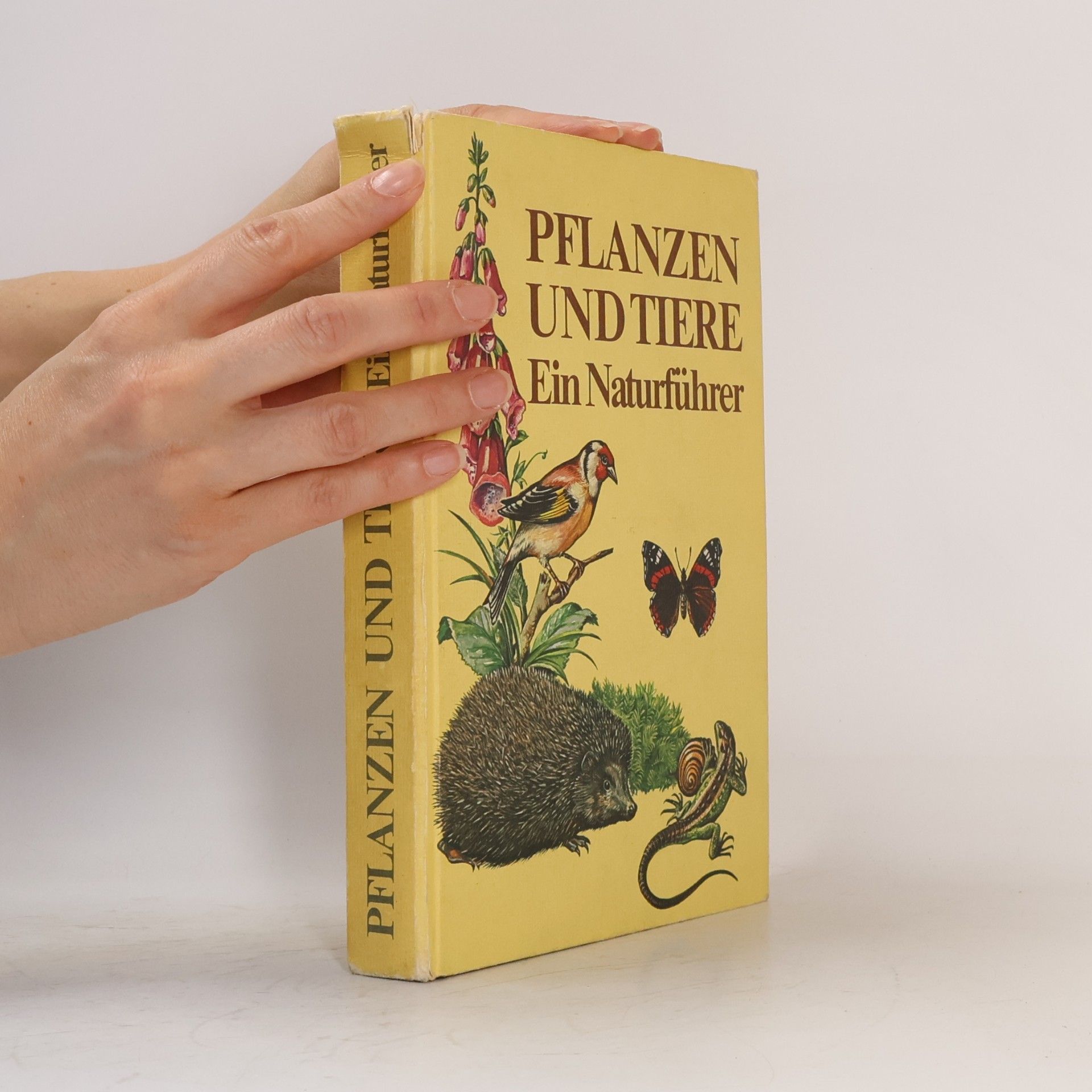 Autorenkollektiv Pflanzen und Tiere. Ein Naturführer