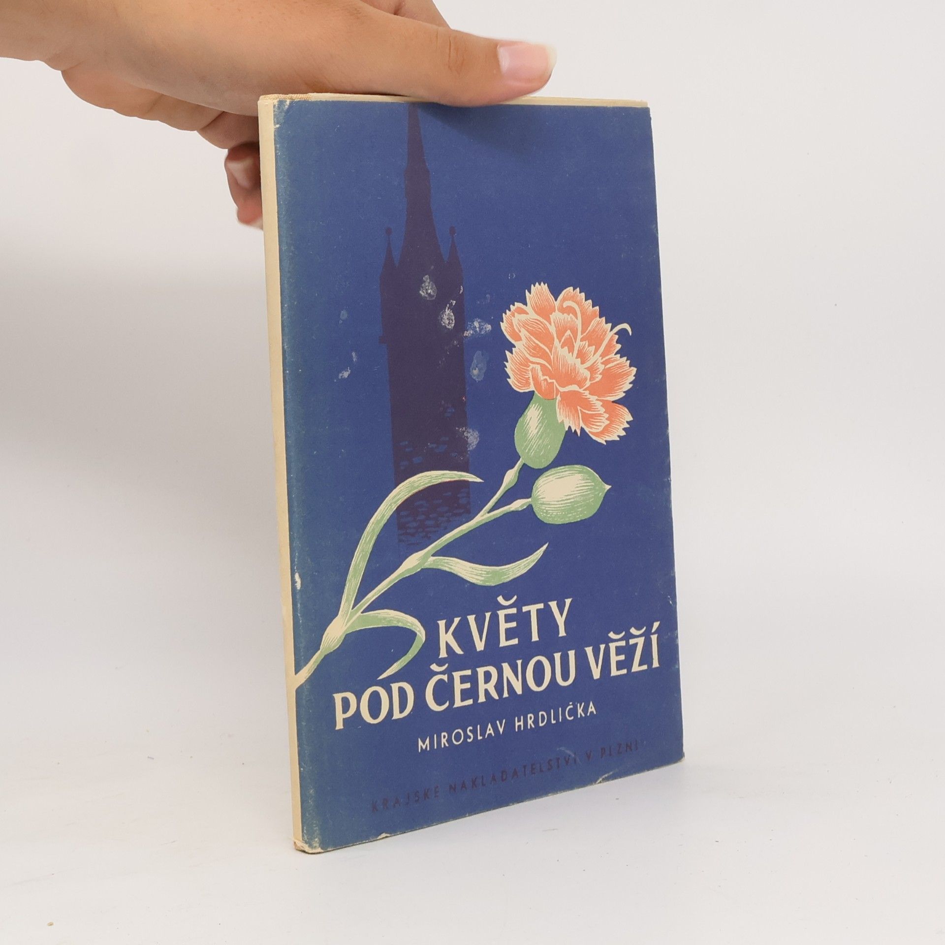 Květy pod černou věží