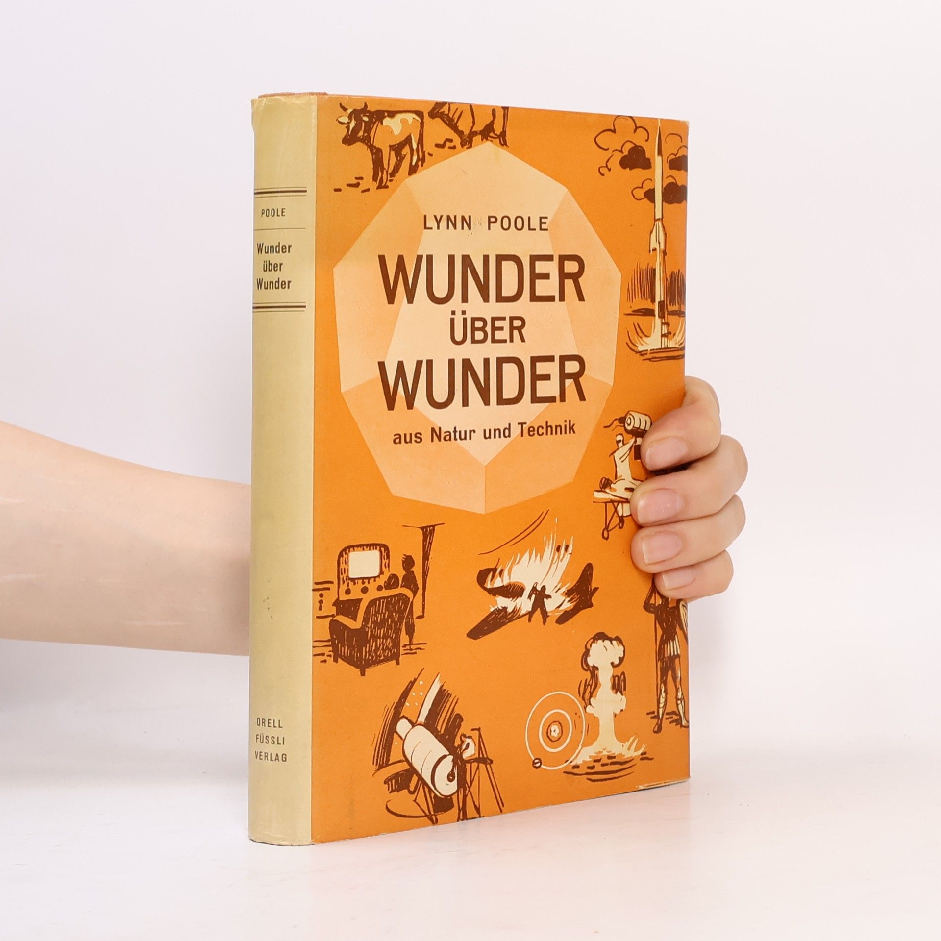Lynn Poole Wunder über Wunder
