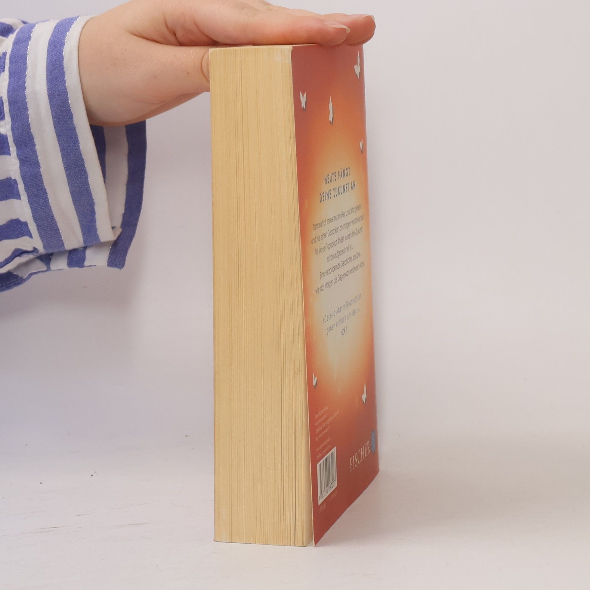 Cecelia Ahern Ich schreib dir morgen wieder