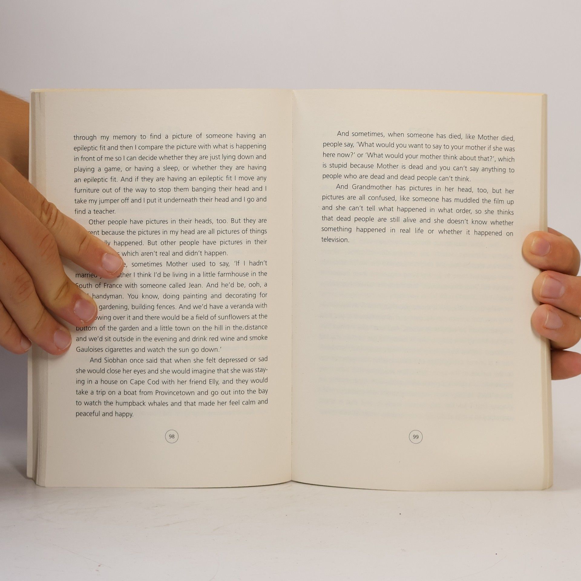 Mark Haddon The Curious Incident of the Dog in the Night-Time